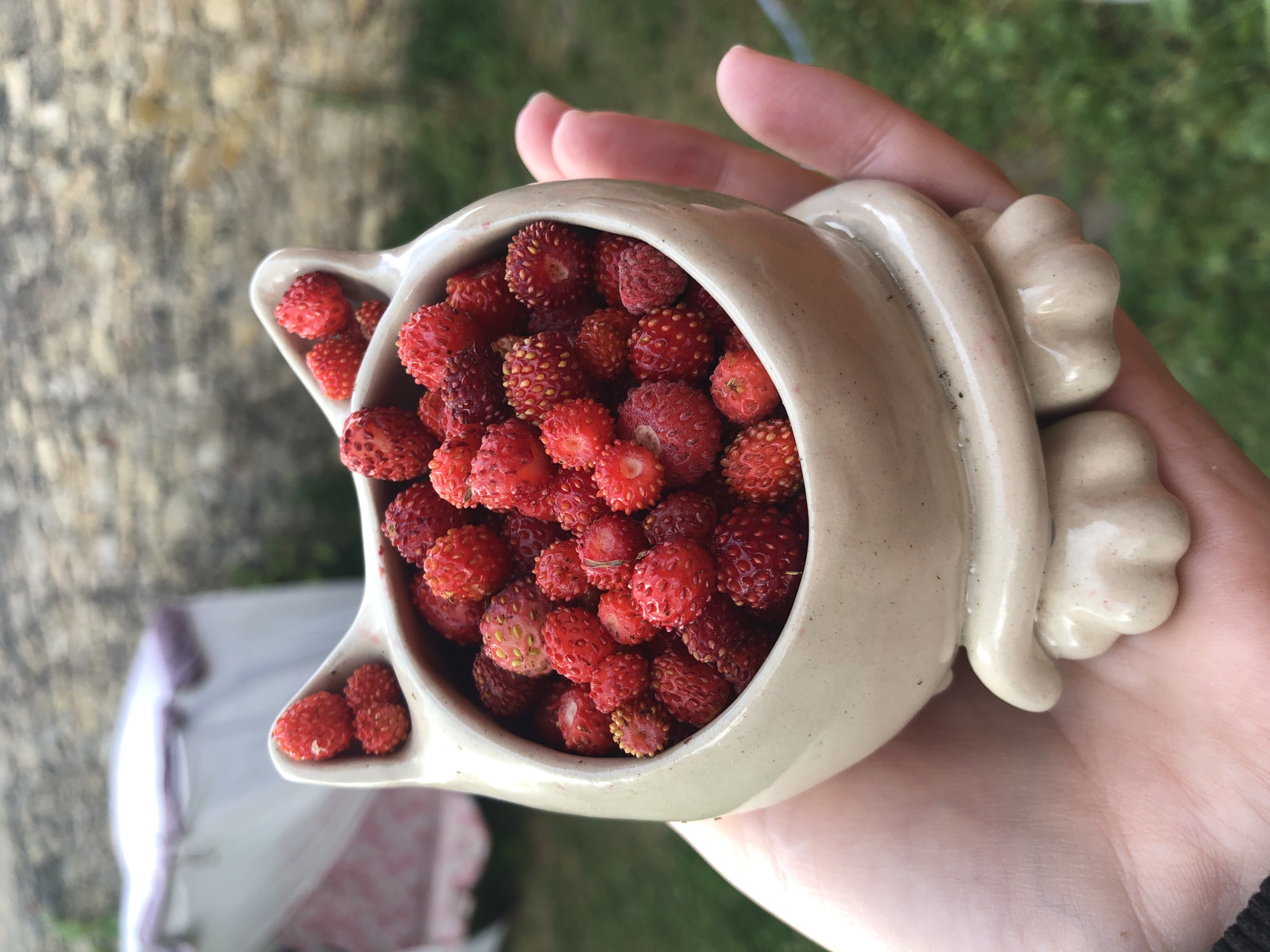 A close-up, waist-up shot shows a person's hand holding a small, cream-colored ceramic bowl shaped like a cat. The bowl is filled with wild strawberries. The cat bowl has ears, paws, and a tail. The strawberries are red with visible seeds. The background is blurred and shows greenery, suggesting an outdoor setting. The image is taken in Романово, Russia.