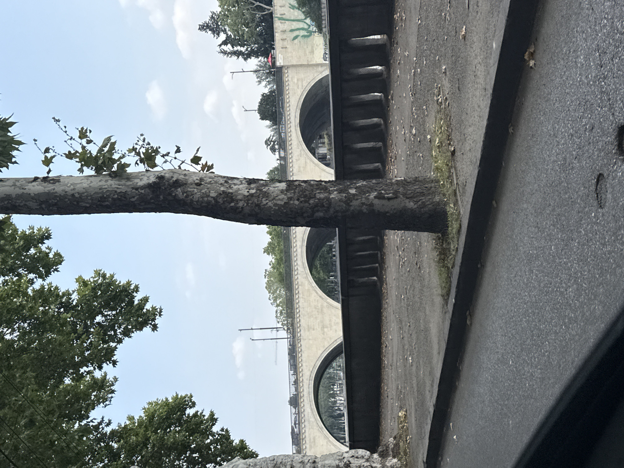 The image depicts a view of the Bridge of Peace in Tbilisi, Georgia, from a ground-level perspective. A large tree with a rough, textured bark stands prominently in the foreground, partially obscuring the view of the bridge. The bridge itself is made of light-colored stone and features multiple arched spans. The top of the bridge is visible, with a railing and what appears to be traffic and streetlights. Beyond the bridge, there are trees and buildings, suggesting an urban environment. The foreground consists of a paved surface, possibly a sidewalk or road, with scattered fallen leaves. The sky is partly cloudy. The overall scene is an outdoor urban landscape.