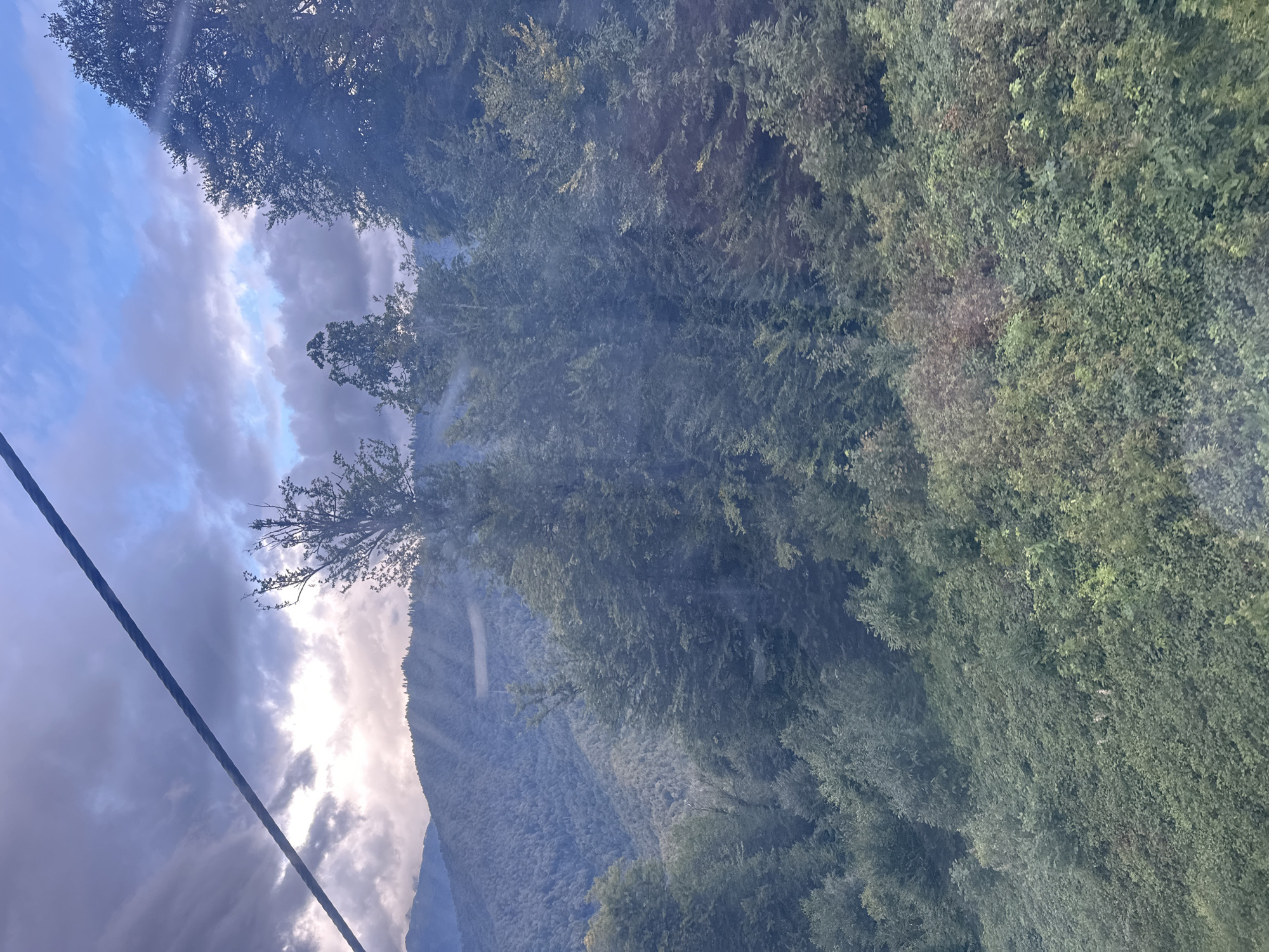 The image shows a view from a cable car, looking out over a lush, forested mountain landscape. The sky is a mix of blue and dramatic grey clouds, with rays of sunlight breaking through. The mountains in the background are densely covered with trees, and in the foreground, the foliage is thick and green, with some lighter patches indicating variations in vegetation or sunlight. A dark cable runs diagonally across the upper left portion of the frame, characteristic of a cable car. The overall scene suggests a natural, somewhat wild environment, likely a popular tourist destination like the ski resort area of Estosadok, Russia, known for its mountain scenery and cable car systems. There are no people or specific objects identifiable in the scene besides the cable and the natural environment.