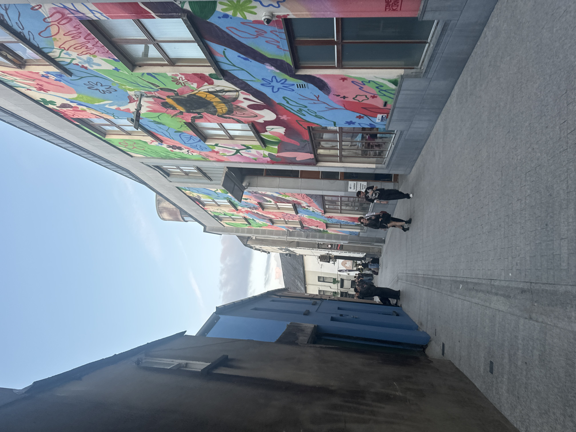 The image captures an outdoor scene of a narrow city street with buildings on either side. On the right, a building is adorned with a large, colorful mural featuring floral patterns and a prominent depiction of a bee. Several windows are visible on this building, some reflecting the sky and surrounding environment. On the left, a darker, narrower building with a rougher texture dominates the foreground, with a bright blue building adjacent to it further down the street. The street itself is paved with grey cobblestones, with a visible drain running down the center.
Several individuals are present in the scene. Two people, a man and a woman, are walking away from the camera down the street, dressed in casual clothing. Further down the street, a group of people are congregated near the entrance of a building. One person, wearing dark clothing, is standing with their back to the camera, looking towards the group.
The sky above is a clear, pale blue with a few wisps of clouds. The perspective of the image suggests it was taken from a low angle, looking down the street.
This scene is located on Georges Street in the city of Waterford, Ireland.