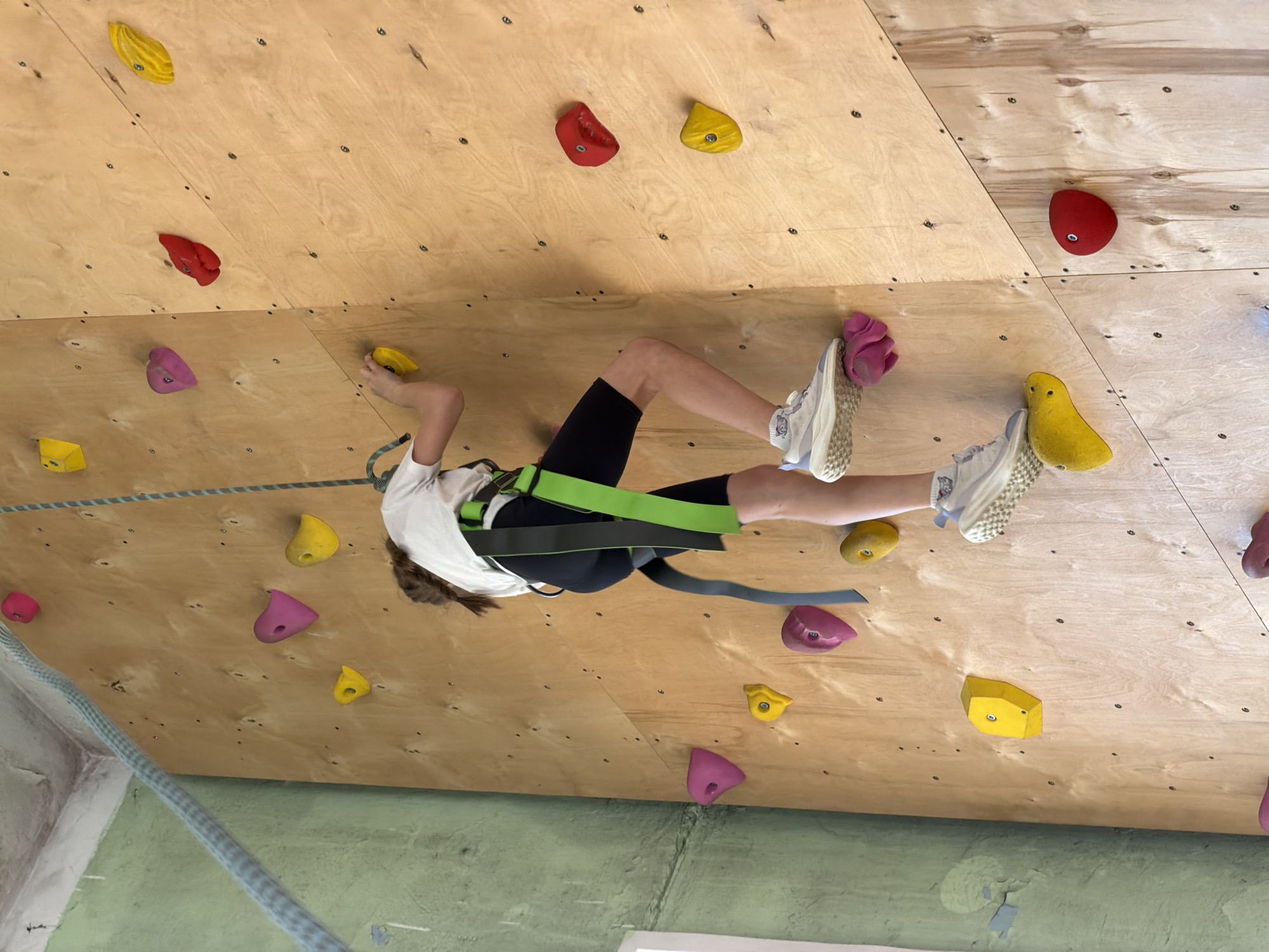 A person is climbing a wall, presumably indoors, on a climbing structure with multicolored handholds. They are wearing a harness and climbing shoes. The wall is made of plywood. The environment includes a concrete wall and a climbing rope. The image was not taken in Izhevsk, Russia.