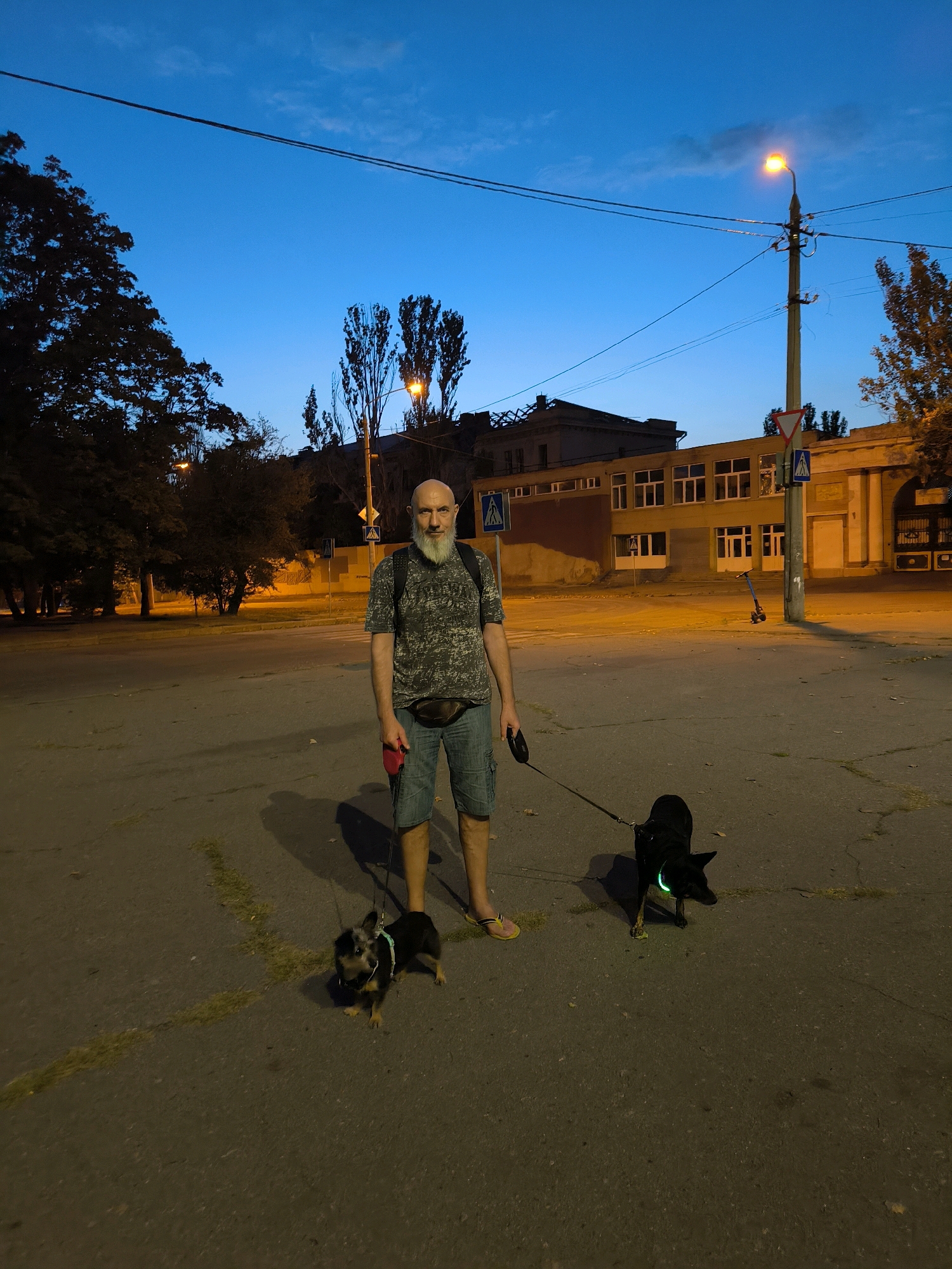 A bald, bearded man stands on an asphalt surface in an urban area at dusk. He is wearing a patterned t-shirt, denim shorts, and flip-flops, with a fanny pack around his waist. He is holding leashes for two dogs: a small, multi-colored dog to his left and a black dog with a green glowing collar to his right. The man is looking towards the camera. Behind him, there is a building with windows, trees, and a street light illuminating the scene. Traffic signs and a parked scooter are also visible. The sky is a deep blue, indicating the transition from day to night.