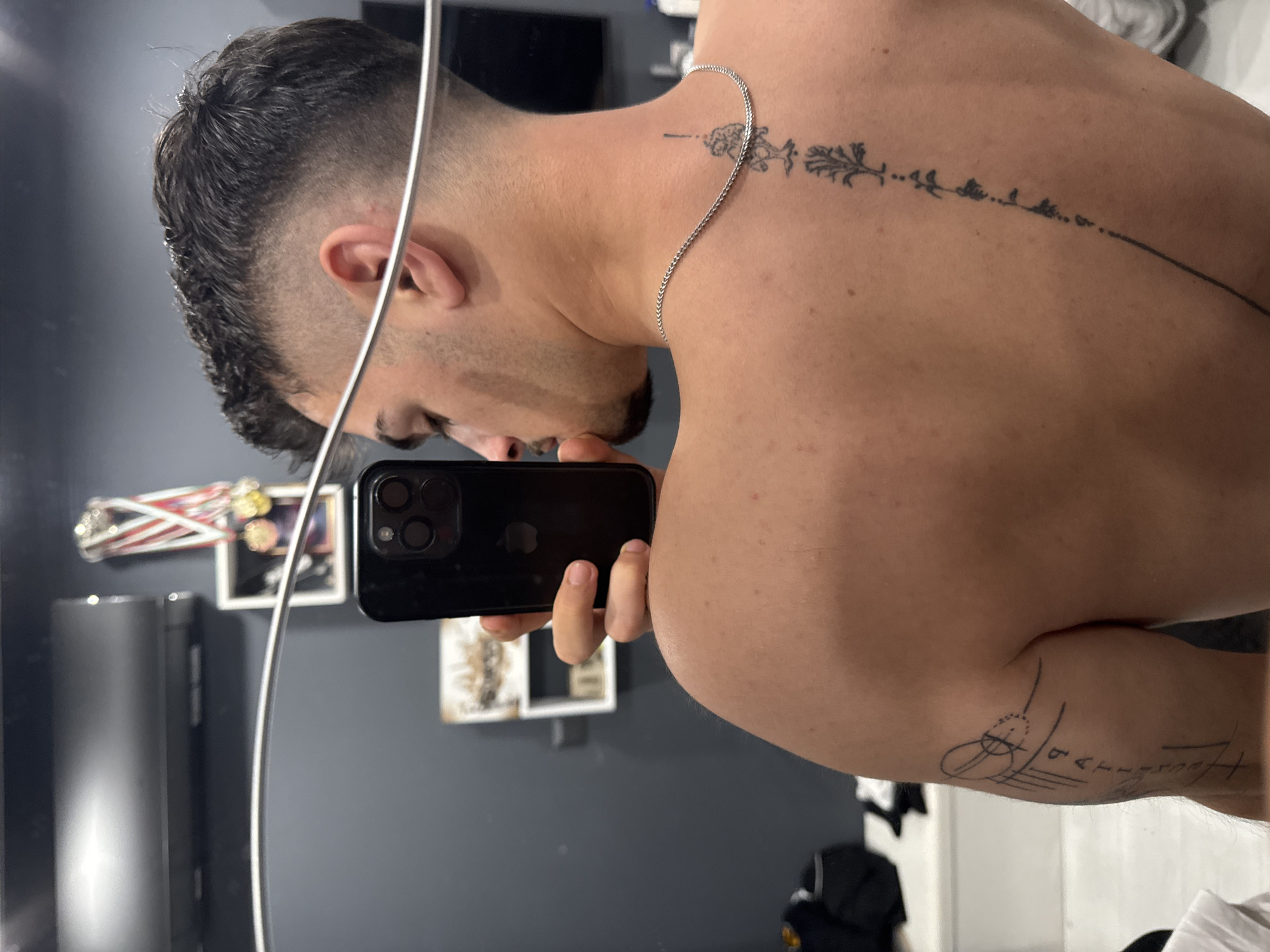A man is taking a selfie in a mirror. The background is a gray wall with a framed picture and sports memorabilia hanging on the wall. The man has a fade haircut and a tattoo running down his spine. He is wearing a silver chain. Another tattoo is visible on his right arm. There is no evidence that places this scene in Sofia, Bulgaria.