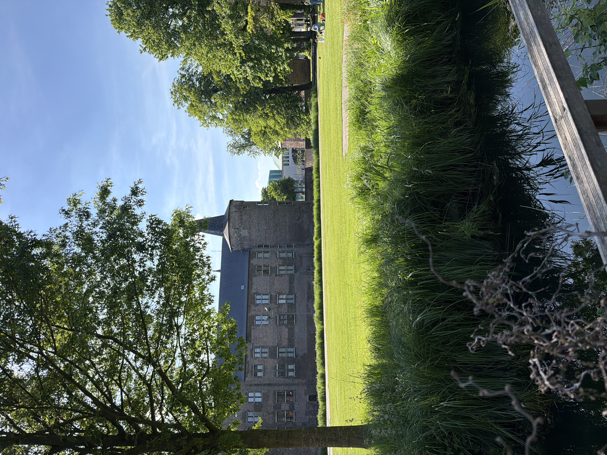 The image depicts a brick castle in Helmond, Netherlands, viewed from a slightly elevated perspective. The building features numerous windows, a sloped roof, and a prominent tower. A well-maintained, bright green lawn stretches from the castle towards the viewer. A waterway bordered by tall green grass and vegetation runs along the right edge of the frame, with a wooden fence partially visible above the waterway. Trees with dense foliage are present on the left and in the background, partially obscuring modern buildings in the distance. The sky is clear and blue. The image is slightly rotated clockwise.