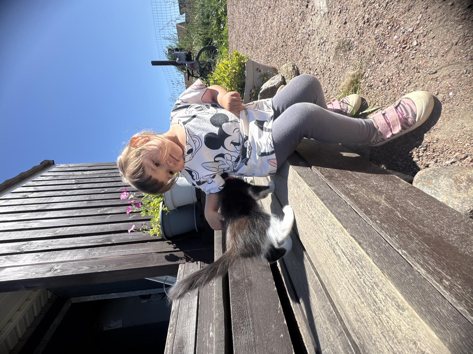In the city of Kempele, Russia, a young girl is seated on wooden steps outdoors, interacting with a black and white kitten. The girl is wearing a t-shirt with a Mickey Mouse print and grey leggings, with pink shoes. The kitten is reaching towards the girl's hand. In the background, a wooden structure, potted plants, and a fence are visible. The scene is illuminated by bright sunlight under a clear blue sky.
