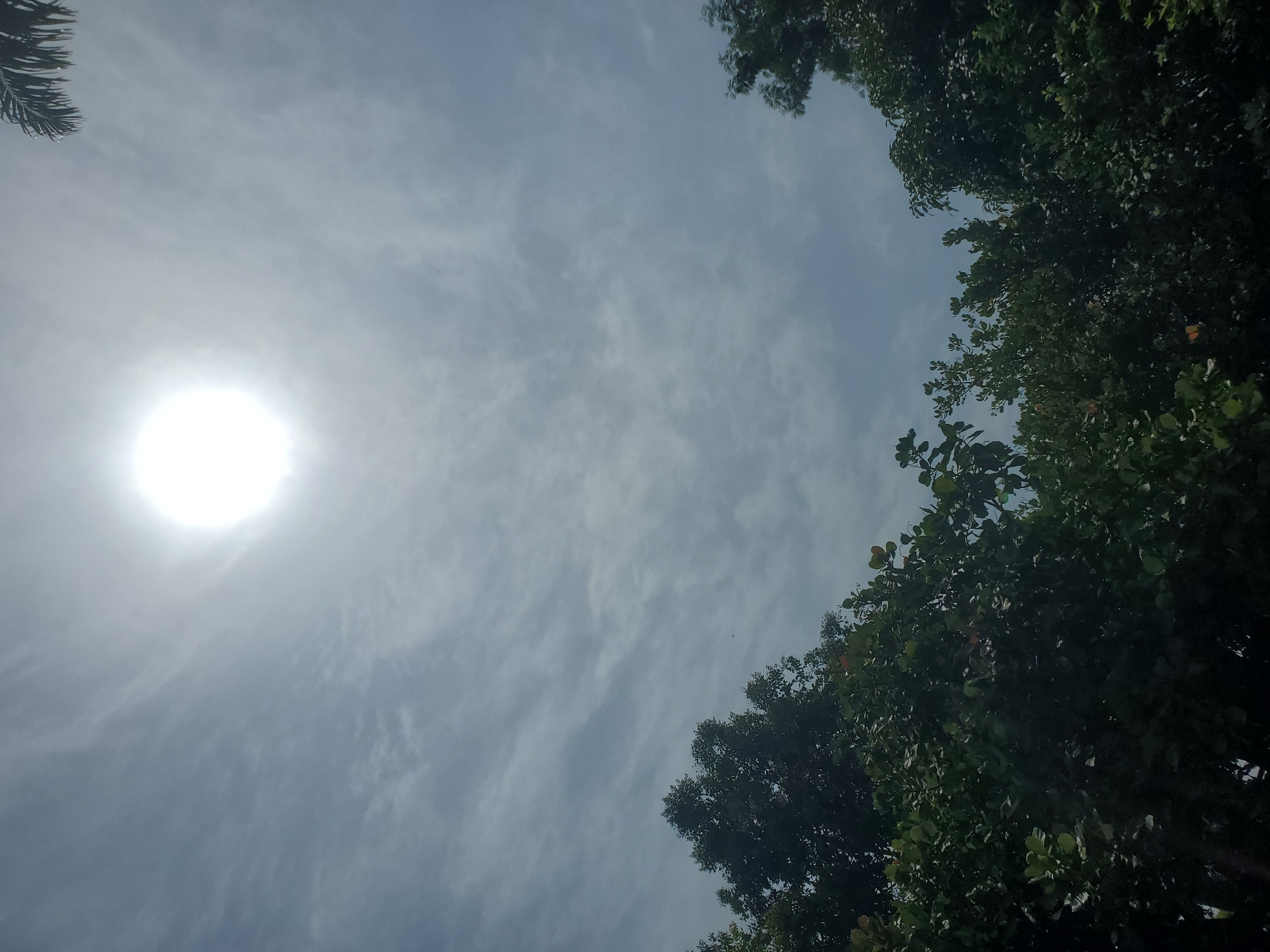 The image shows a bright, overcast sky with wispy clouds. The sun is visible as a luminous orb near the top center of the frame, creating a hazy glow. Silhouetted against the sky are the tops of lush green trees, suggesting an outdoor environment. A small portion of a palm frond is visible in the upper right corner. The scene is consistent with a bright, possibly humid, day in Jos, Nigeria, a city known for its elevated plateau and abundant vegetation. There are no people or discernible objects other than natural elements.
