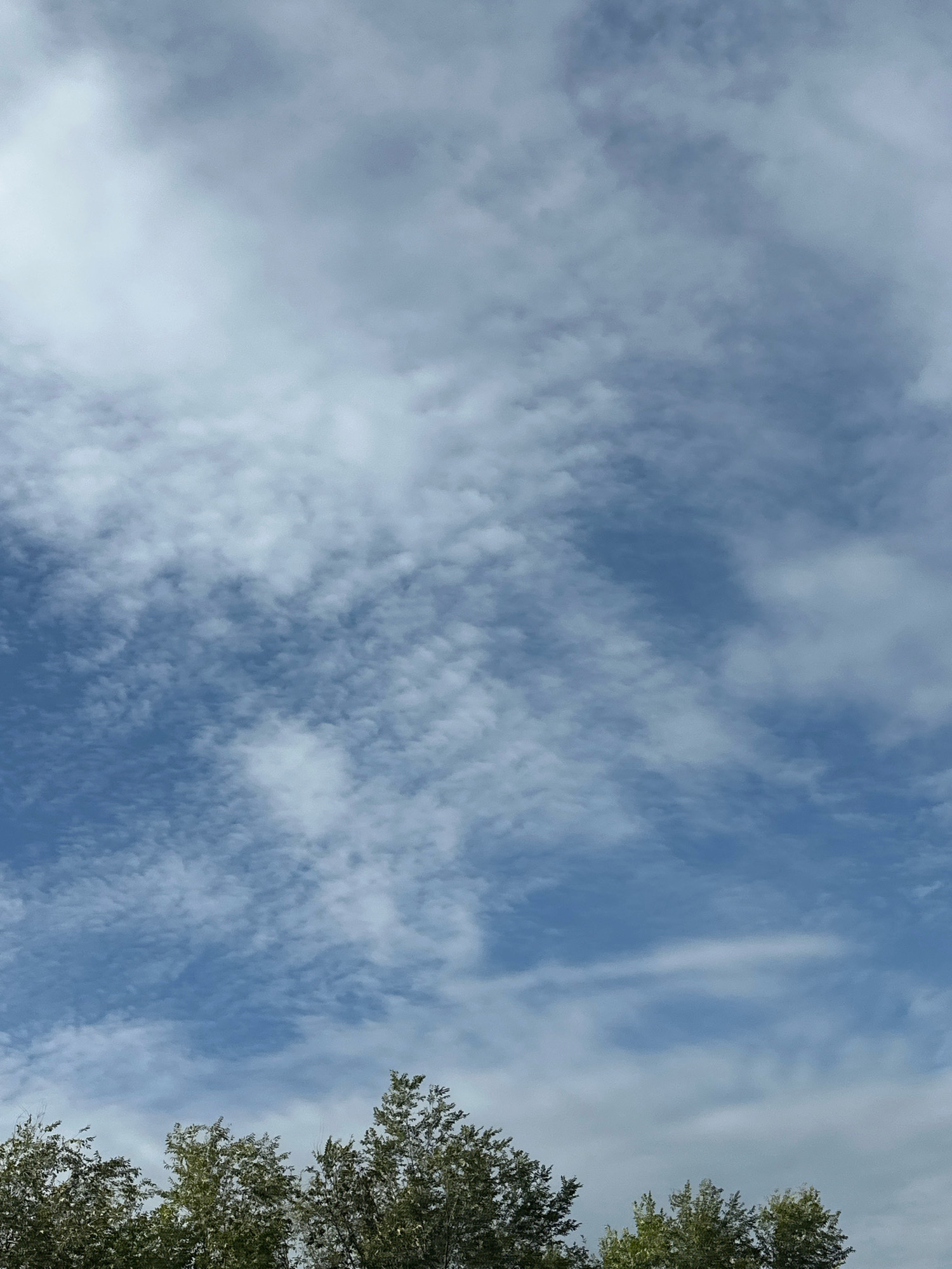 The image shows a sky with scattered clouds. The bottom of the image shows the tops of trees. The scene appears to be outdoors, with no specific urban landmarks to identify a city or location.