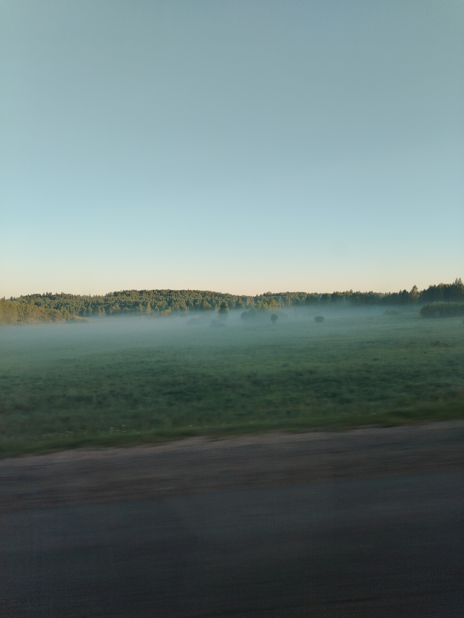 The image depicts a rural scene at the location of Новое, Russia. In the foreground, there is a dark asphalt road, indicative of a paved surface. Beyond the road, there is a grassy field covered in a layer of fog or mist. The fog partially obscures the field and creates a soft, diffused atmosphere. In the background, a line of trees is visible, forming a horizon against a clear, light blue sky. The scene suggests early morning or late evening conditions, given the presence of fog and the muted lighting. There are no people or animals visible in the frame.