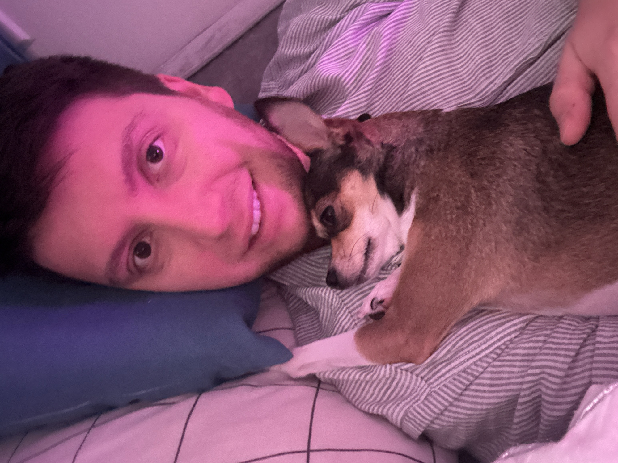 In this close-up, over-the-shoulder selfie, a person with dark hair and fair skin is lying down, holding a small dog. The person's face is partially visible, with their eyes open and a slight smile, illuminated by pink lighting. The dog, with brown and white fur, is nestled against the person's chest, its head resting on the person's arm. The person is wearing a horizontally striped shirt. A pillow, visible behind the person, has a white checkered pattern. The scene appears to be indoors, possibly in a bedroom, with hints of blue and pink lighting. The location is not specified to be in Мирный, Russia, as there is no contextual information to support this.