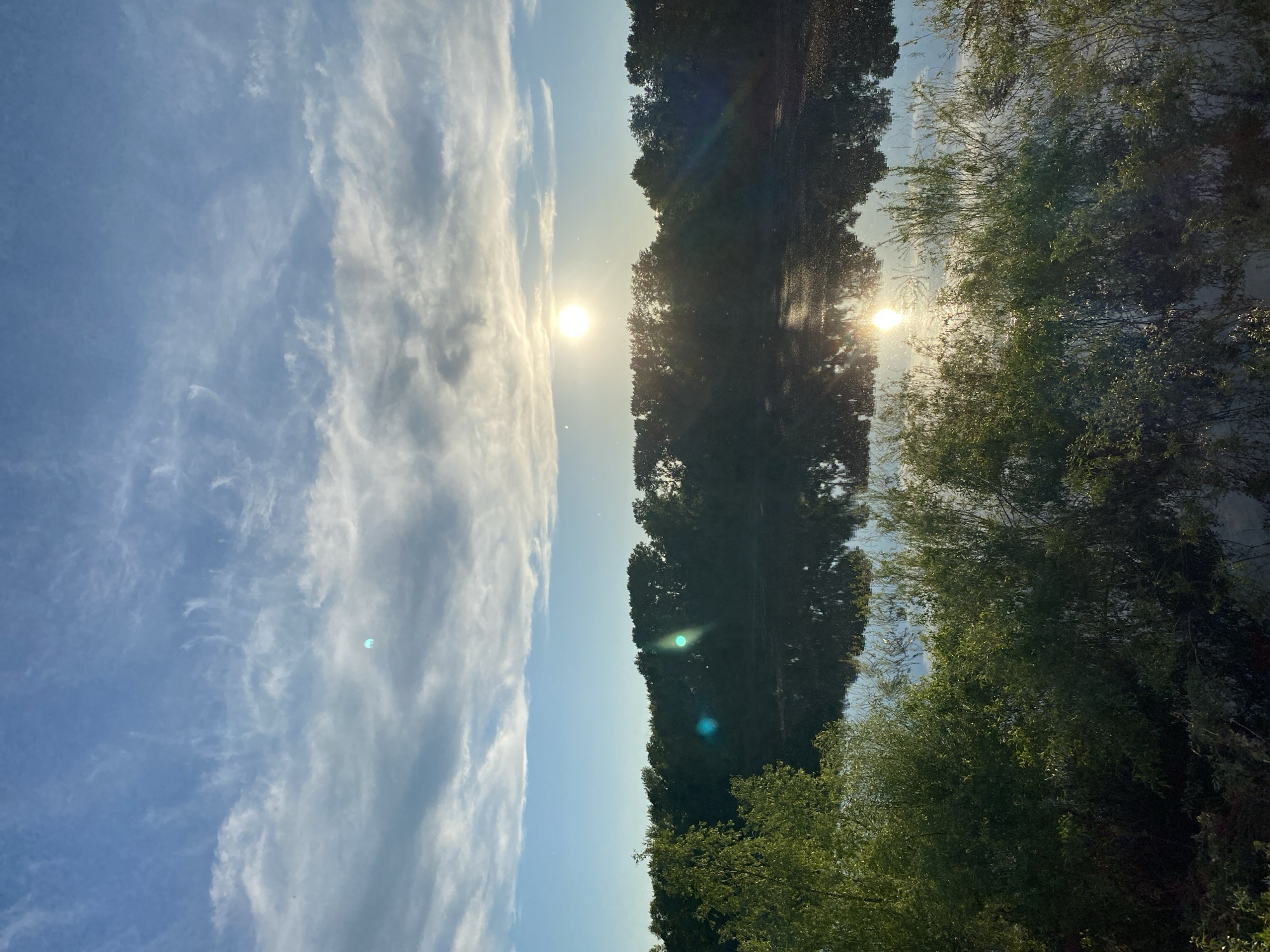 The image displays a serene natural landscape, likely along a body of water in Chaikovsky, Russia. The upper half of the frame features a clear blue sky, adorned with scattered white, wispy cirrus clouds that stretch horizontally across the expanse. A brilliant, golden sun is visible on the left side of the image, positioned just above the distant treeline.
A dense strip of dark green trees forms the horizon line, extending across the middle section of the image. To the right, in the foreground, a cluster of lighter green, bushy trees with delicate branches adds texture to the scene.
The lower half of the image is a calm body of water, acting as a mirror that perfectly reflects the sky, the distant trees, and the sun. This reflection creates the striking illusion of a second, equally brilliant sun in the water on the right side of the frame. The subtle details of the clouds are also clearly mirrored on the water's surface.
The low angle of the sun suggests the time of day is either sunrise or sunset, bathing the scene in warm light. The weather appears clear with minimal cloud cover. Several small, light blue/green lens flares are scattered throughout the image, particularly noticeable near the reflected sun and in darker areas, indicating the powerful light source. There is no visible text in the image.