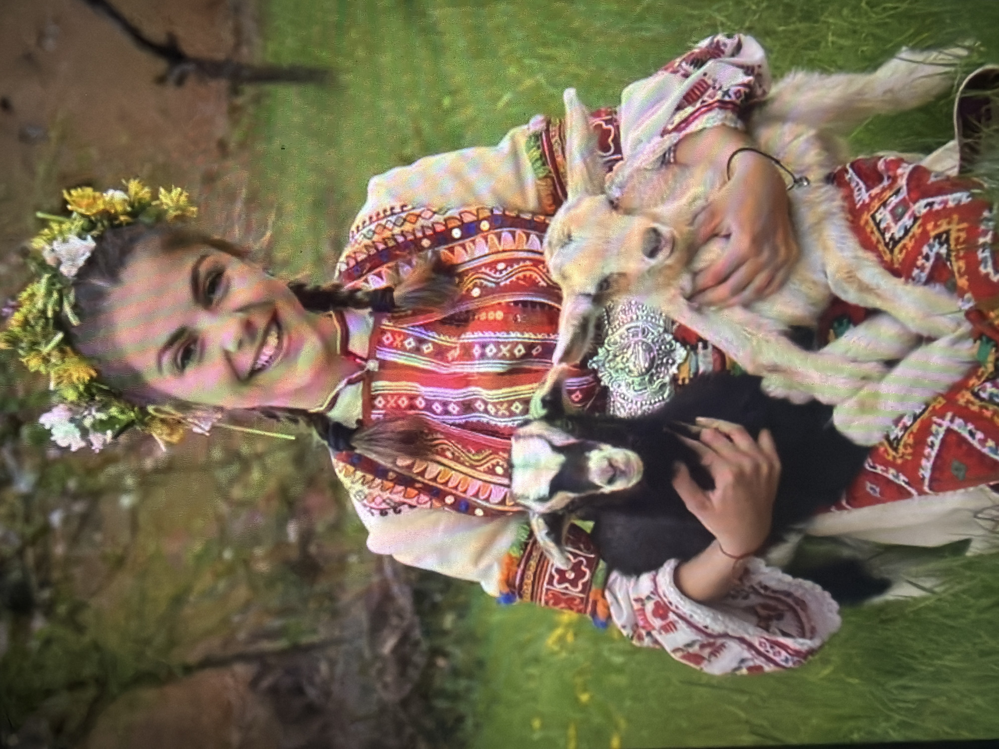 This image depicts a young female individual seated outdoors, holding two infant goats. The scene is situated in the city of Shumen, Bulgaria.
The female subject, appearing to be in her late teens or early twenties, has fair skin and dark hair styled in two braids. She is smiling directly at the viewer. Her head is adorned with a floral wreath composed primarily of yellow and white flowers, interspersed with green leaves. She is dressed in traditional folk attire, consisting of a white long-sleeved blouse with red and white embroidered patterns and multicolored tassels on the cuffs. Over the blouse, she wears an intricately embroidered vest or jacket featuring red, orange, yellow, and white geometric and floral designs. A large, circular, silver-toned metal ornament is visible on her chest. Her lower garment, partially visible, also displays patterned embroidery in red, black, and white.
She cradles two infant goats. The goat on the viewer's left is predominantly black with distinct white markings on its face, ears, and possibly its neck. The goat on the viewer's right is light-colored, appearing beige or cream. Both goats are facing forward, looking towards the viewer.
The background consists of a green grassy area, indicative of an outdoor, natural setting. Some faint yellow floral elements are present in the grass. Blurred trees and foliage are visible further in the background, suggesting a rural or park-like environment. The lighting is diffused, indicating either an overcast sky or soft, even illumination.