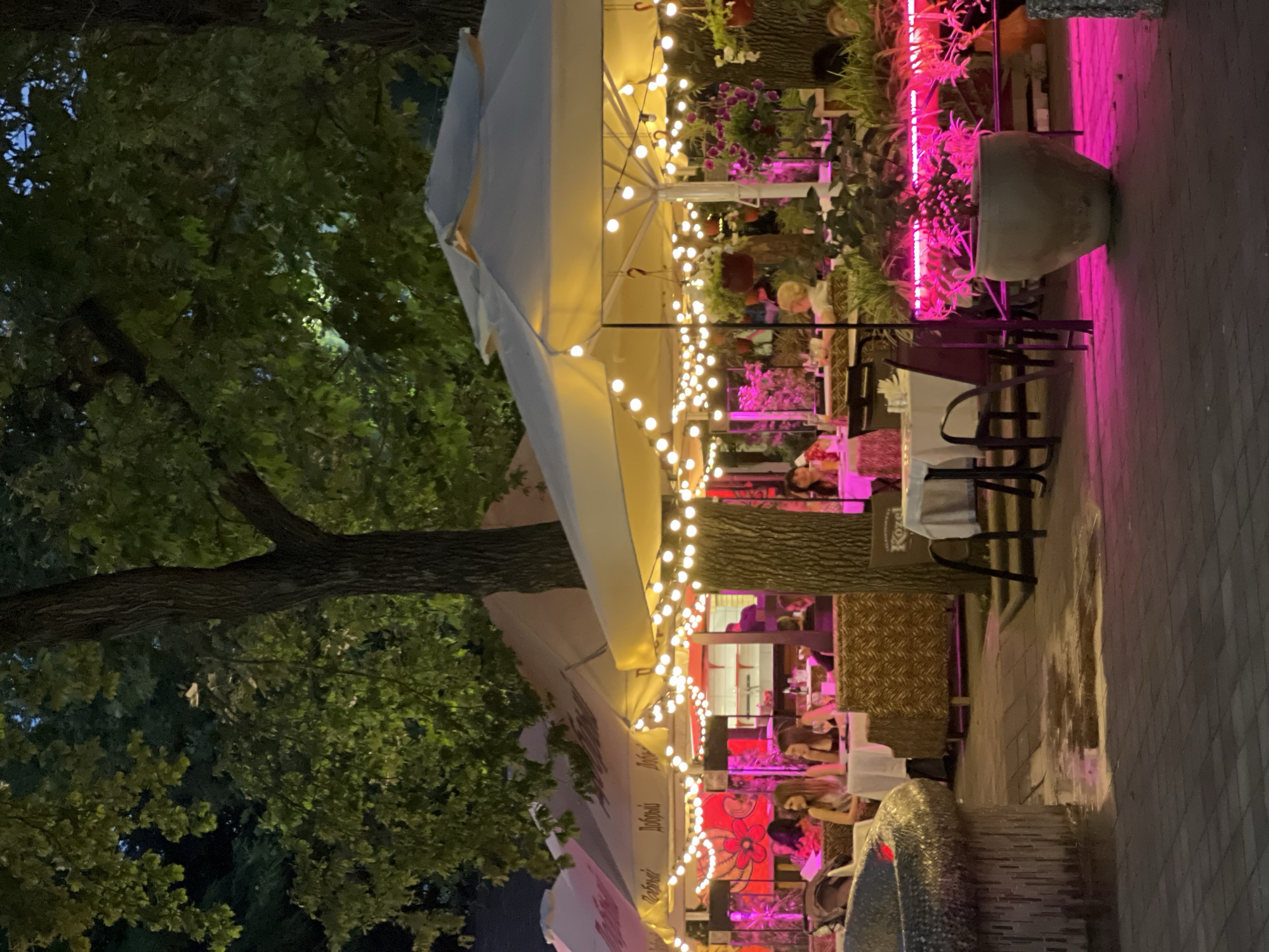 The image depicts an outdoor dining area at night, likely a restaurant or cafe. It is illuminated by strings of fairy lights and vibrant pink neon lights. Several tables are set for dining, with white tablecloths and chairs. People are seated at some of the tables, engaged in conversation and eating. In the background, large trees with dense foliage overhang the area. The ground appears to be paved with bricks and shows signs of recent rain with puddles. The overall atmosphere is festive and relaxed, suggesting a lively evening social gathering. The signage on the umbrellas is partially visible, with some text that appears to be in Cyrillic script, consistent with a location in Russia. Based on the context of the image, this outdoor dining area is located in the city of Krasnodar, Russia.