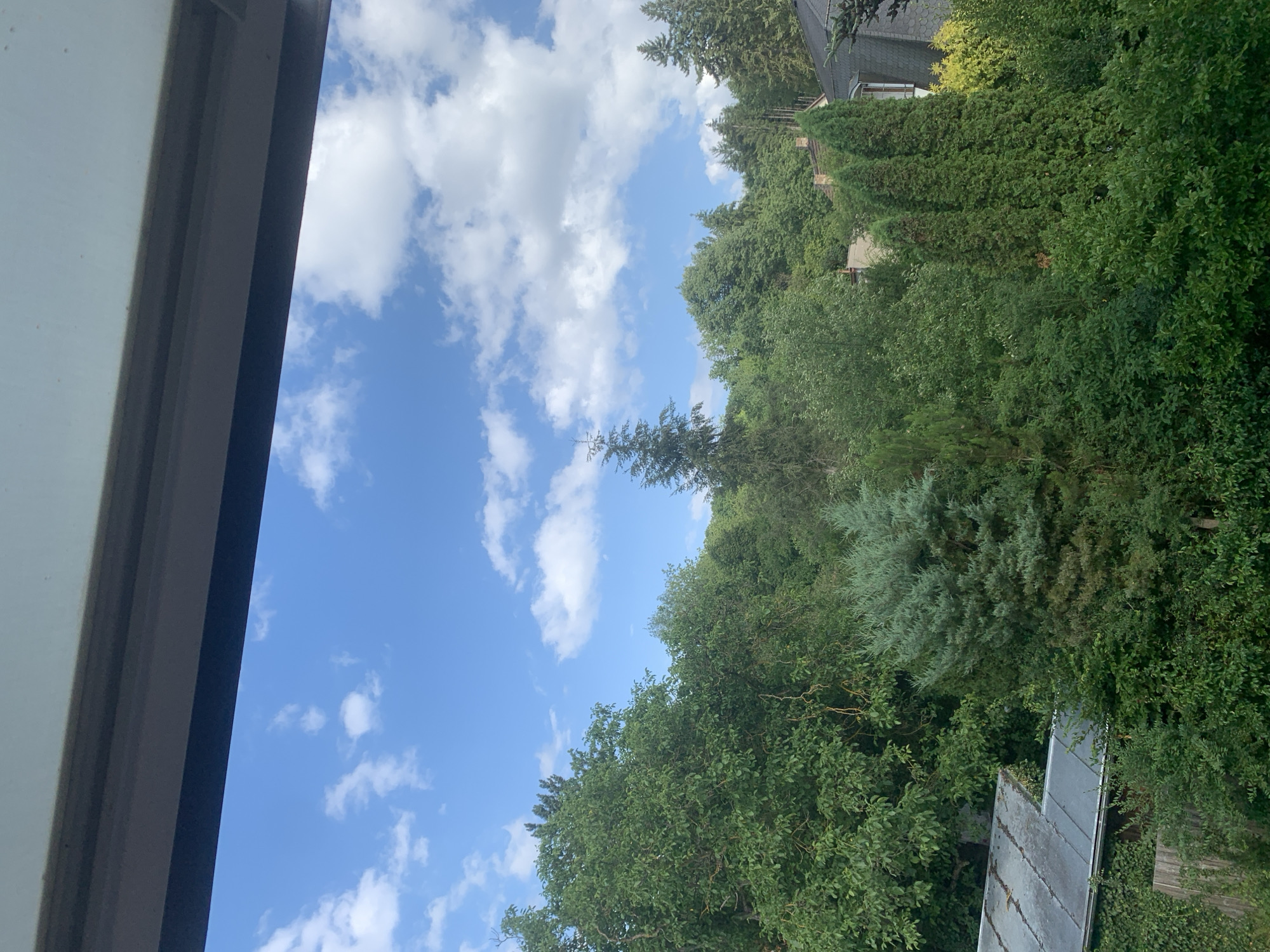 The image shows a view from a window looking out at a lush green landscape with trees and a blue sky with white clouds. A dark window frame is visible at the top of the image. The landscape is dominated by various types of trees, some deciduous and some coniferous, creating a dense forest-like appearance. In the lower left, a metal-roofed structure, possibly a shed or garage, is partially visible, covered in ivy. Further into the scene, rooftops and chimneys of houses can be seen peeking through the trees, indicating a residential area bordering the natural landscape. The sky is bright and sunny with scattered fluffy clouds. The scene evokes a sense of a tranquil, possibly suburban or rural, environment. The location is identified as Petrov, Czechia.