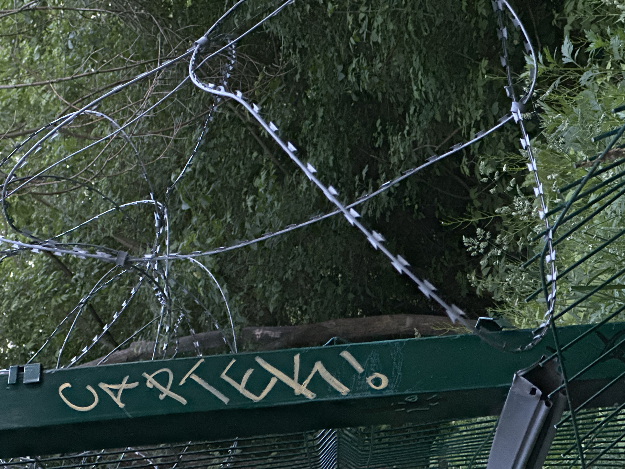 The image shows a section of a green metal fence topped with razor wire. Graffiti is visible on the fence, the word "CAPTEX!" is written in what appears to be beige paint. The background consists of dense green foliage. The photo appears to be taken outdoors in daylight. The location is Moscow, Russia.