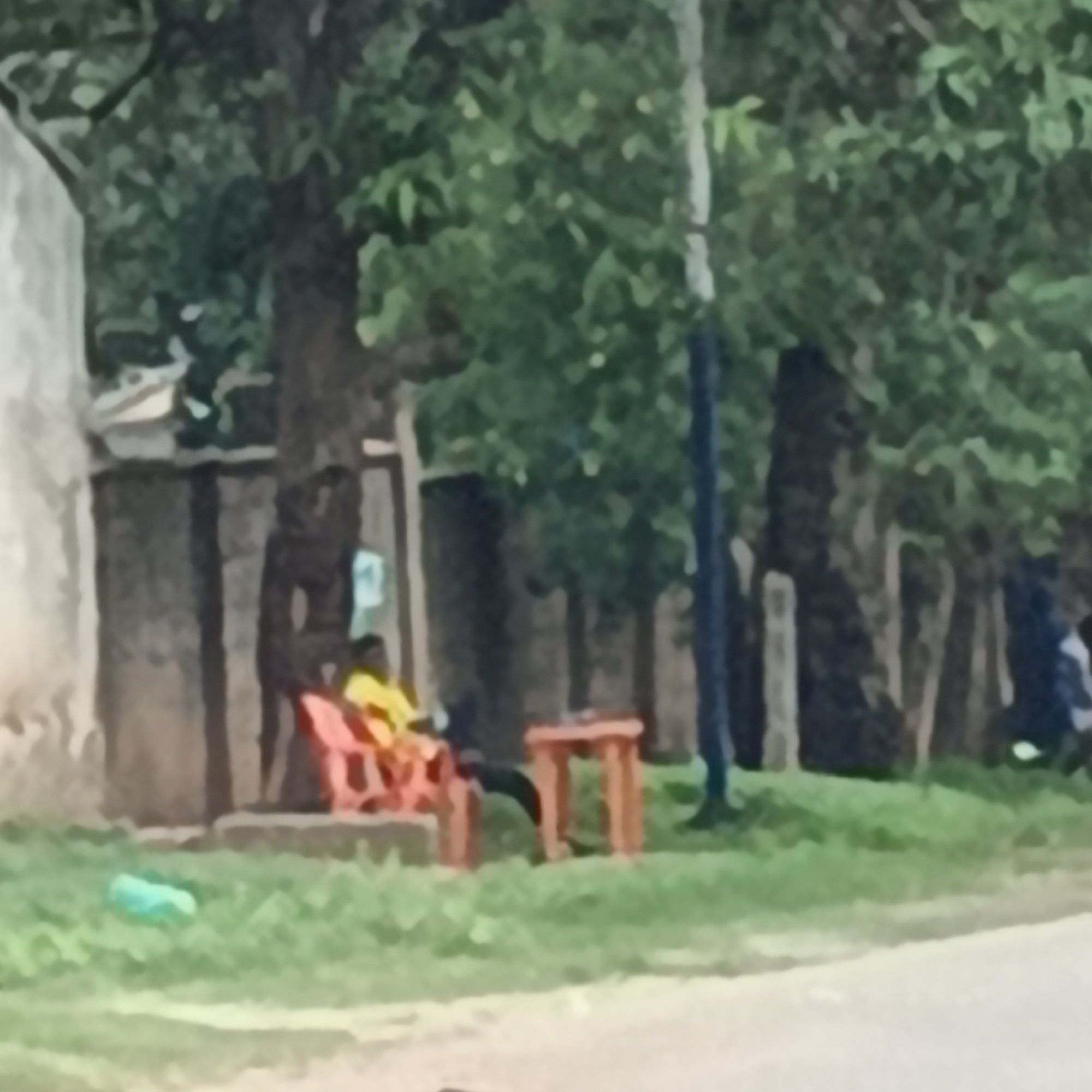 The image depicts an outdoor scene in Shaba, Nigeria, featuring two individuals seated outdoors amidst lush greenery. On the left, a person is seated on a red chair, wearing a yellow shirt. To their right, a small orange table is placed on the grass. In the background, a building with a light-colored wall stands to the left, and a fence made of vertical wooden planks runs horizontally across the scene. Several trees with dense foliage are visible, casting shadows. To the far right, a portion of another building or structure can be seen. The overall impression is of a casual gathering in a semi-urban or residential area.