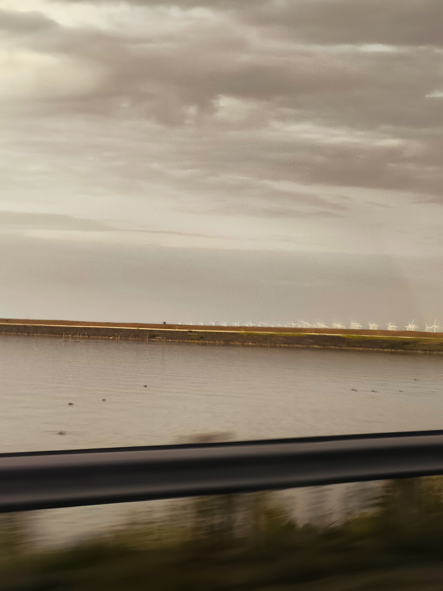 The image depicts a landscape scene with a body of water in the foreground. A dark, blurred railing runs across the bottom of the frame, indicating a viewpoint from a moving vehicle. Beyond the water, a long, narrow strip of land is visible, topped with a line of white wind turbines stretching across the horizon. The sky is overcast with muted tones of gray and beige. Some small, dark objects, possibly birds, are scattered on the surface of the water. The overall impression is of a serene, somewhat industrial, natural environment. This image is likely taken from the Markerwaarddijk near Lelystad, Netherlands, a location known for its expansive water views and prominent wind farm installations.