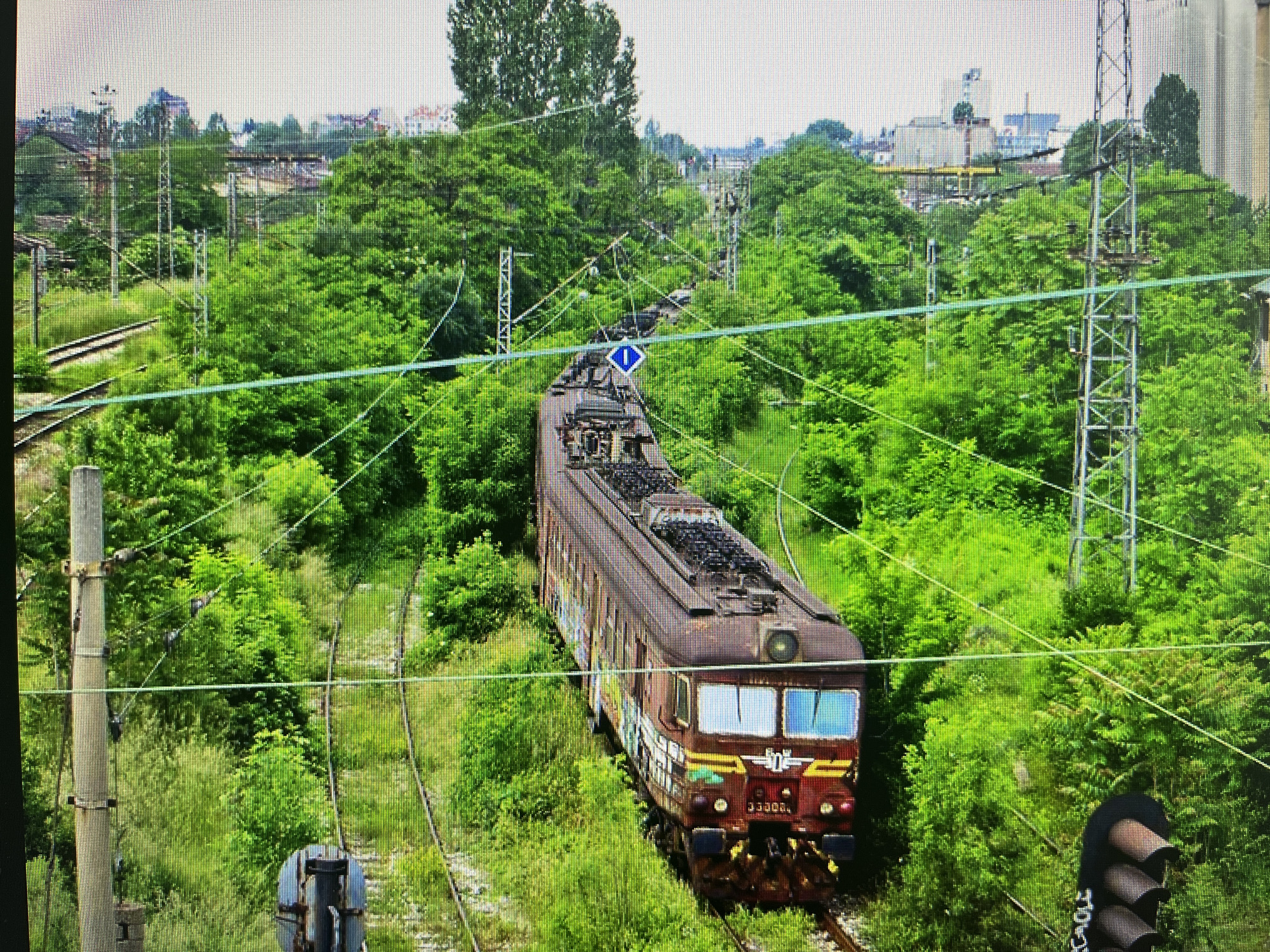 The image displays an electric locomotive situated on an overgrown railway track, enveloped by dense green foliage and trees. The scene suggests a railway yard or siding in Varna, Bulgaria, hinting at either infrequent use or a temporary parking location for the train.
The primary subject is a dark red or brown electric locomotive, positioned on a gently curving track that runs from the lower center towards the upper left of the frame. Its pantographs are raised, connected to the intricate network of overhead power lines (catenary) supported by numerous poles scattered throughout the verdant landscape. The locomotive exhibits signs of weathering and features visible graffiti on its side. On its front, the number "33002" is clearly discernible, alongside a logo or text resembling "БДЖ" (BDZ, Bulgarian State Railways) and other smaller inscriptions.
The railway tracks are significantly obscured by lush green grass, weeds, and bushes, indicating a period of disuse or very limited activity. A distinctive blue diamond-shaped sign with a white upward-pointing arrow is suspended above the tracks in the upper middle section, likely a railway indicator. In the bottom right corner, a partial view of a railway signal or light post shows "CALE" or similar text spray-painted on its base.
In the background, beyond the immediate canopy of trees, urban structures including industrial buildings and other railway elements are visible under what appears to be a bright, possibly overcast, daytime sky. The abundant greenery and diffused light suggest a spring or summer setting. The overall impression conveys a striking contrast between the robust industrial infrastructure and the encroaching, vibrant natural environment.