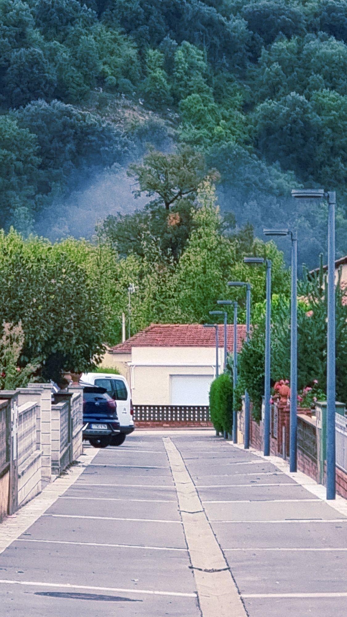 The image depicts a street scene in Sant Joan Les Fonts, Spain. The foreground is dominated by an asphalt road marked with white lines indicating parking spaces, with a raised concrete strip running down the center. On the left side of the road, a light-colored stone wall with decorative elements runs parallel to the street. Behind this wall, a blue car is parked. Further back, a white van is also visible.
Along the right side of the road, a series of modern streetlights with dark grey rectangular lamps are spaced evenly. Adjacent to the streetlights, a low brick wall with decorative patterned metal fencing encloses a garden area with green bushes and pink flowers. Behind the garden, a building with a red tile roof and white walls is visible, featuring a large white garage door.
The background of the image is filled with lush green trees, densely covering a sloping hillside. A light haze or mist is visible near the top of the hill, adding a slightly ethereal quality to the natural landscape. The overall scene suggests a quiet residential or town area nestled against a natural, wooded environment.