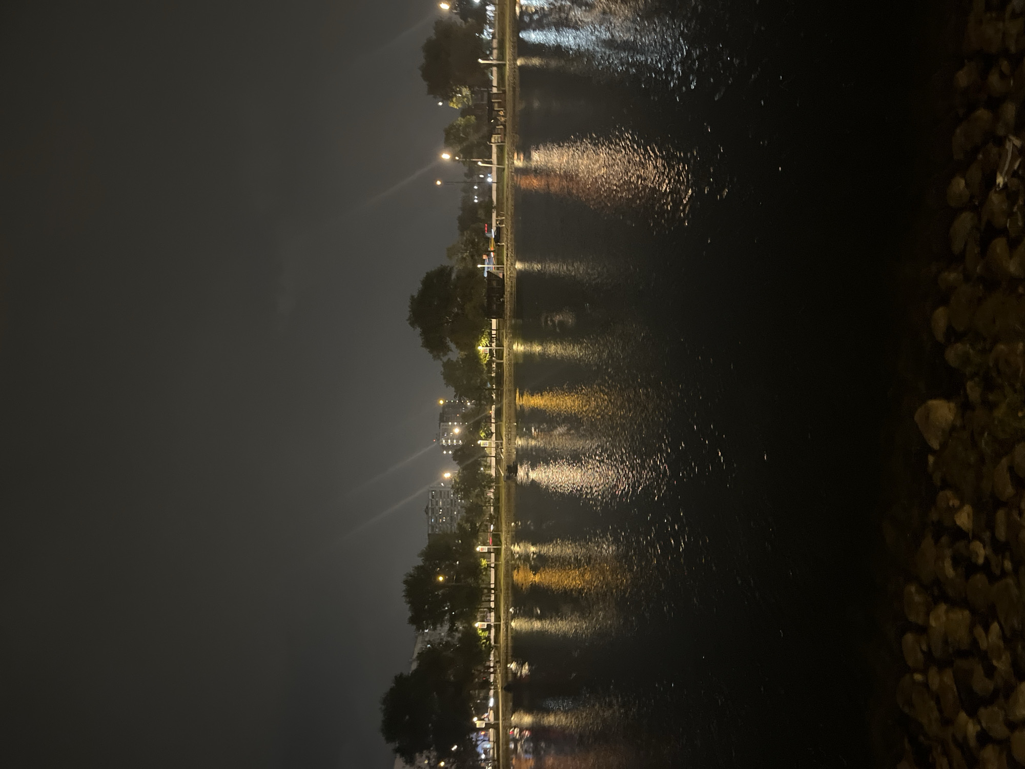 The image depicts a nighttime scene along a body of water, likely a lake or river, with a city skyline in the background. The water's surface reflects the lights from streetlamps and buildings, creating streaks of yellow, white, and orange illumination. The foreground features a rocky shoreline. Beyond the water, a row of trees lines the bank, interspersed with streetlights. In the distance, several multi-story buildings are visible, some illuminated from within. The sky is dark and overcast, with the lights creating a hazy glow. There are no people or discernible vehicles visible in the image. The environment appears to be an urban park or waterfront area. The location is not specified as Moscow, Russia.