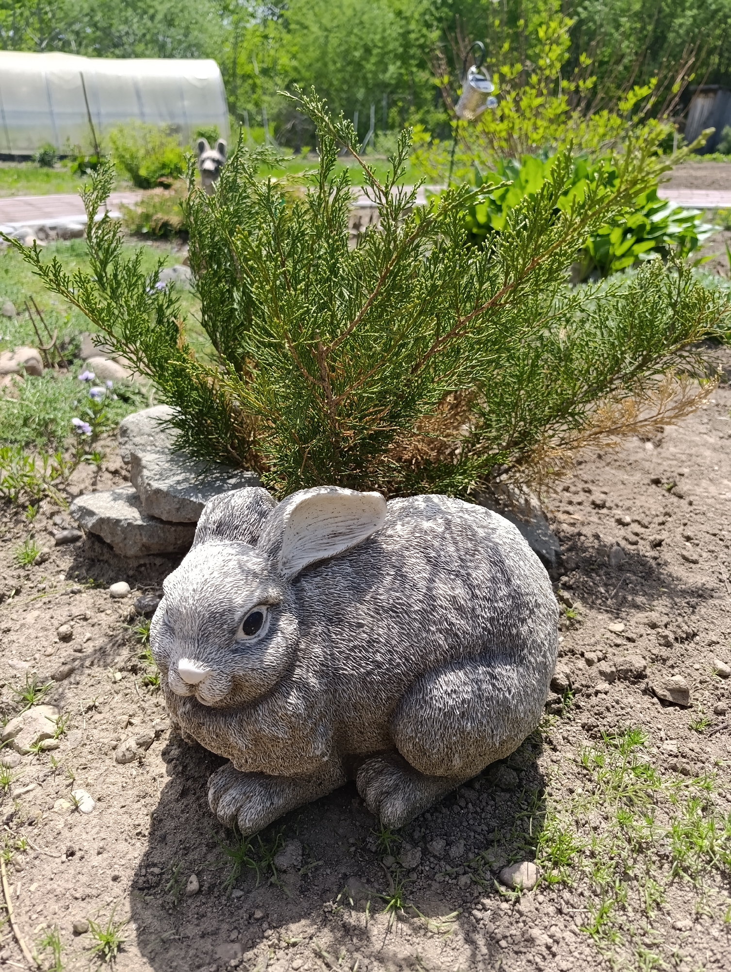 The image presents a garden scene, likely in the city of Birobidzhan, Russia. The primary focus is a gray, stone-like statue of a rabbit resting on dry, brown soil. Patches of green grass are sparsely distributed around the rabbit. Behind the statue, there is a low-growing, green shrub with textured foliage. To the left of the shrub, a stack of gray stones is visible. In the blurred background, elements of a garden can be discerned, including a greenhouse, another statue, and various plants.