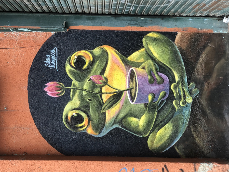 A mural on an orange wall depicts a green frog holding a lavender pot with a pink flower sprouting from it. The frog has large yellow eyes and is set against a black oval. The artist's signature, "Silvia Vivancos," is visible in the upper left. Part of a corrugated metal structure is above the mural. The right side of the frog blends into a brown section of the wall.