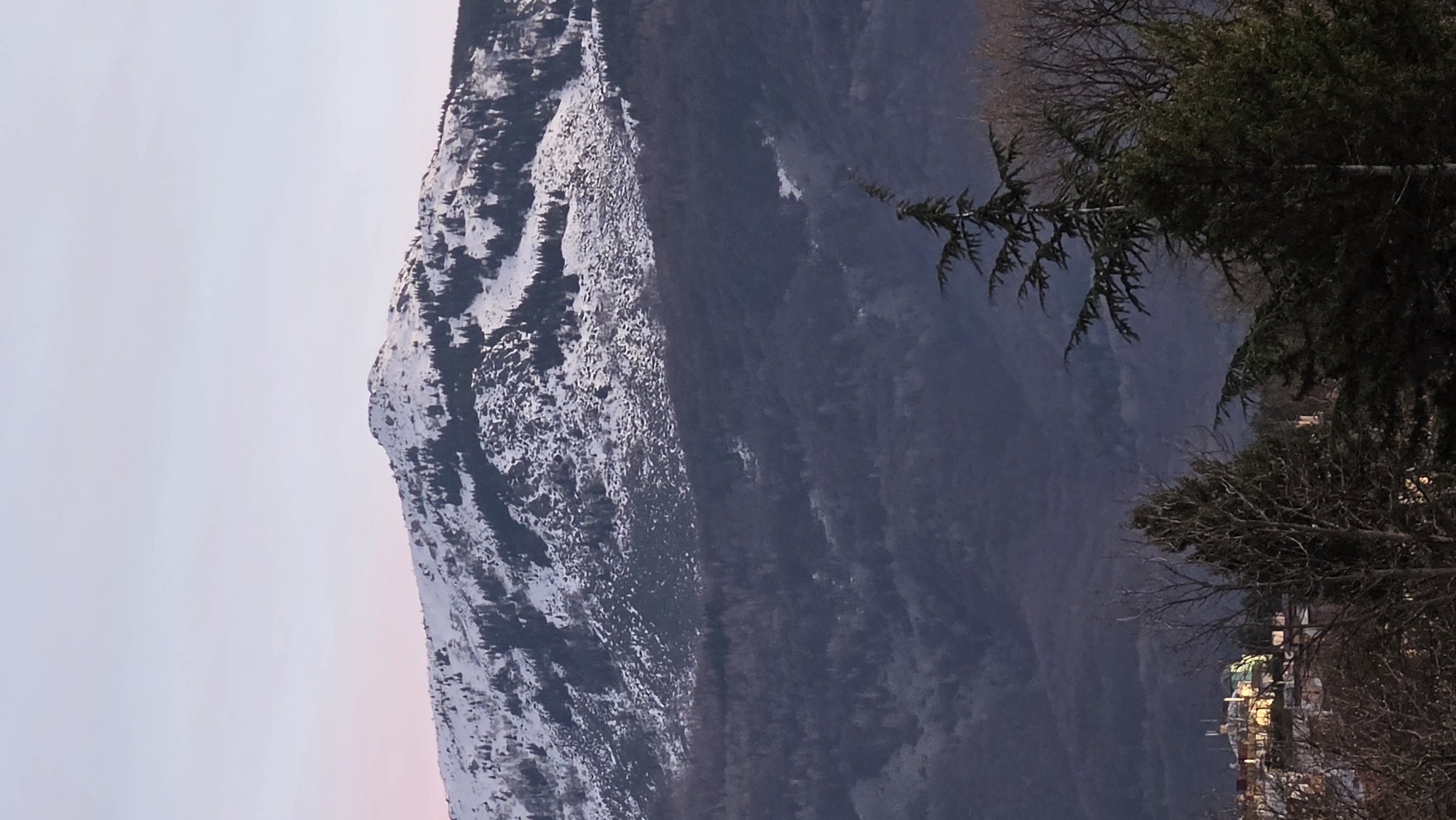 The image shows a mountain partially covered in snow, likely located near Sofia, Bulgaria. In the foreground, there are trees with visible branches. At the base of the mountain on the right side, there is a town with lights visible in some buildings. The sky appears to be at dusk or dawn, with a pale, pinkish hue. The mountain's terrain is rugged and forested, while the snow cover is patchy. There are no people visible in the shot.