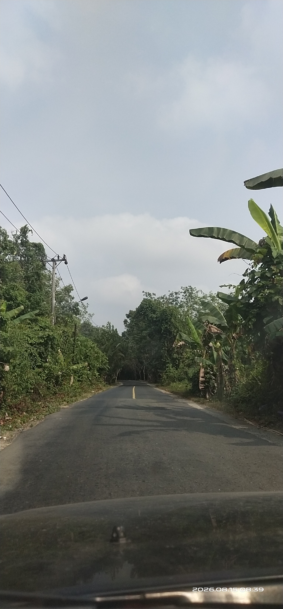 The image shows a two-lane asphalt road with a yellow centerline, receding into a dense, green landscape. The road is flanked by lush vegetation, including trees and banana plants, which create a tunnel-like effect as they overhang the road. Power lines and a utility pole are visible on the left side of the road. The sky is overcast with a light gray hue. In the foreground, the dark, reflective surface of a vehicle's dashboard is visible, with a small black object mounted on it and a timestamp in the lower right corner indicating "2026.08.15 08:39". The scene depicts a rural or semi-rural road in Bararawa, Indonesia, likely during daylight hours under cloudy conditions. There are no people or animals visible in the frame.