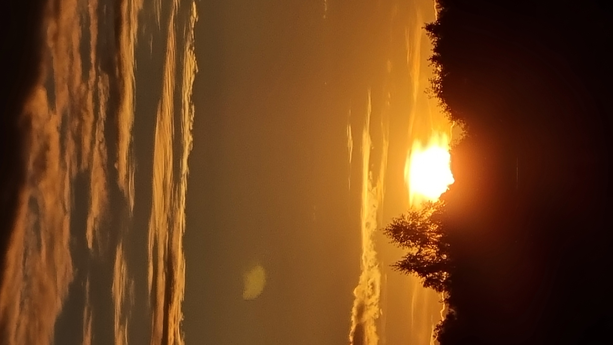 This is a vertical, medium-range, eye-level shot of a sunset over a silhouetted tree line in Vysokoe, Russia. The sun, a bright white orb, is partially obscured by trees in the foreground, casting a warm orange glow across the sky. The sky is filled with layered clouds, tinged with shades of orange and dark gray. The trees in the foreground are dark silhouettes against the vibrant sunset. The overall impression is one of natural beauty and tranquility.