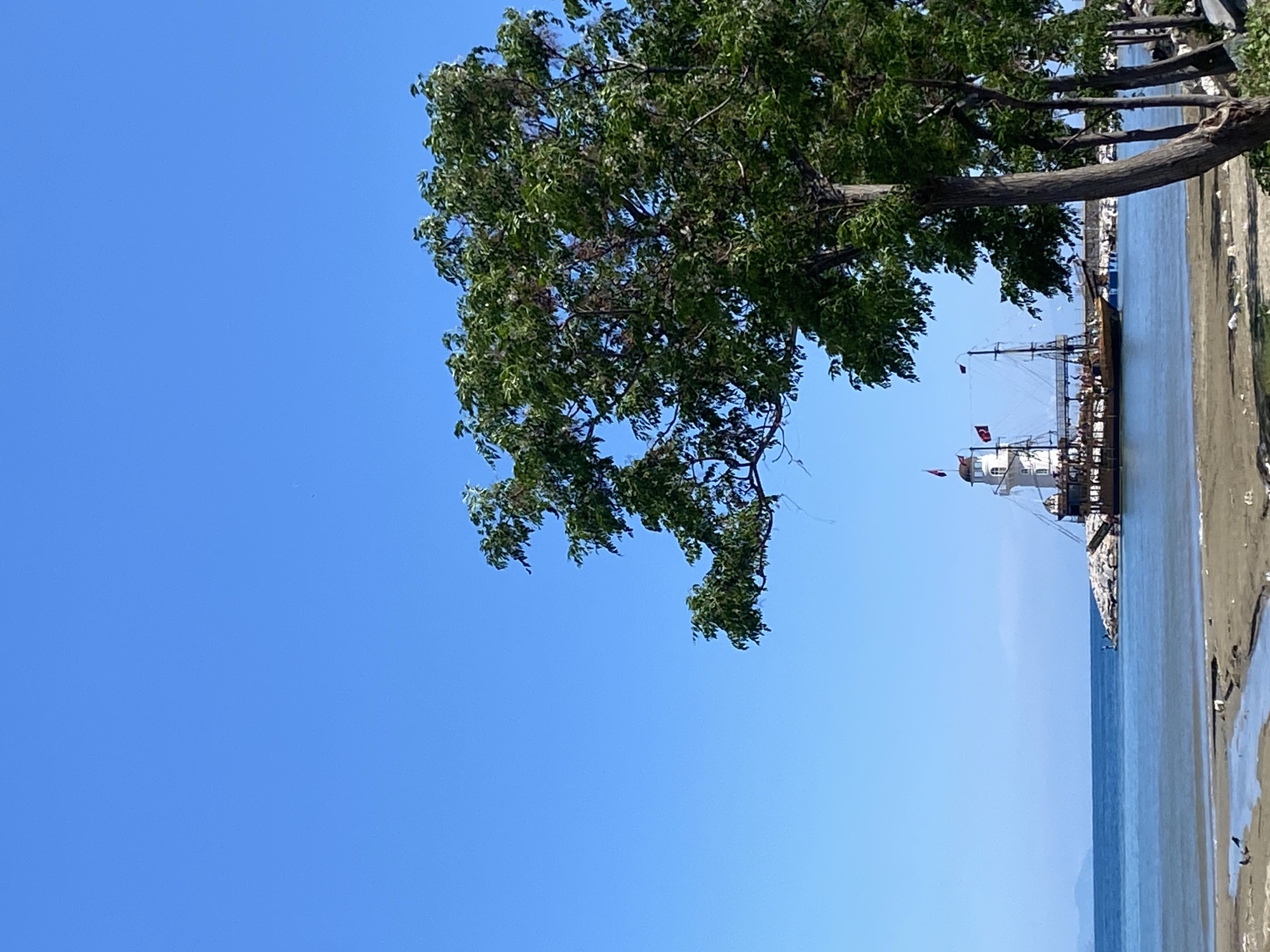 The image is a sideways view of the city of Alanya, Turkey. It shows a sandy beach bordering the sea, with a replica of a pirate ship near the coast. The ship has red Turkish flags. Part of a tree is at the top of the image. The sky is clear and blue. The beach is a light tan color.