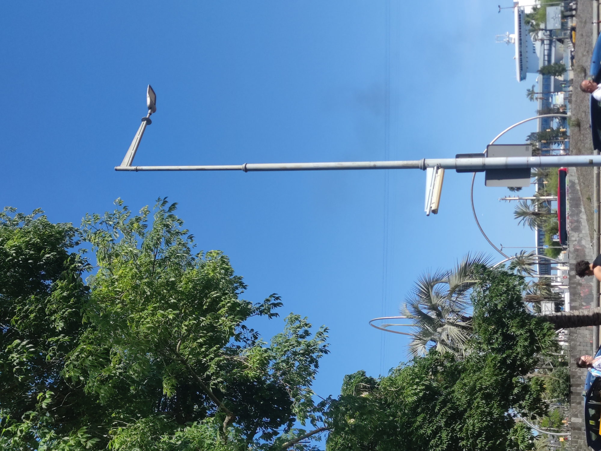 A bright, sunny day with a clear blue sky is depicted. The foreground features a tall, metallic lamppost with a modern, angled light fixture. To the left, a large green tree with dense foliage extends into the frame, its branches reaching upwards and towards the right. Behind the lamppost, a large, white building with a distinctive bridge-like structure and a tall mast is visible in the distance, resembling a ferry or cruise ship. Several palm trees are scattered throughout the scene, adding to a warm climate feel. Below the lamppost, a sign is mounted, and a hint of traffic infrastructure, including a road and a low wall, is present. The lower portion of the image shows glimpses of vehicles and pedestrians, suggesting an urban environment, possibly near a port or waterfront.