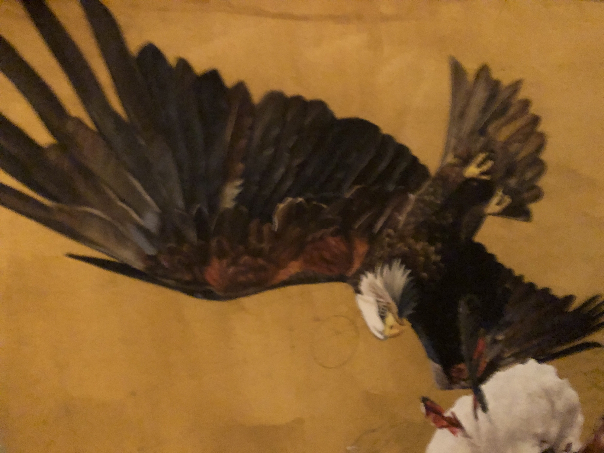 The image depicts a painting of a bald eagle in flight, attacking a white bird. The background is a muted yellow-tan color. The eagle's wings are outstretched, its talons gripping the white bird. The eagle's head is turned downwards, its beak open. The location is not specified. There are no people visible.