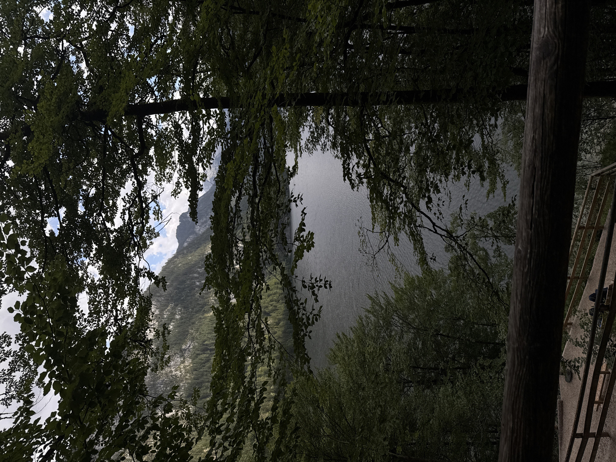 The image depicts a view of Königssee lake in Schönau am Königssee, Germany, framed by lush green trees. The foreground features a rustic wooden railing, and beyond it, a wooden staircase descends towards the lake. The water surface of the lake is a calm, dark grey, reflecting the overcast sky. On the opposite shore, a dense forest blankets the mountainside, leading up to rugged peaks that are partially obscured by clouds. The overall impression is one of natural beauty and tranquility, with the dense foliage of the trees creating a sense of enclosure and intimacy.