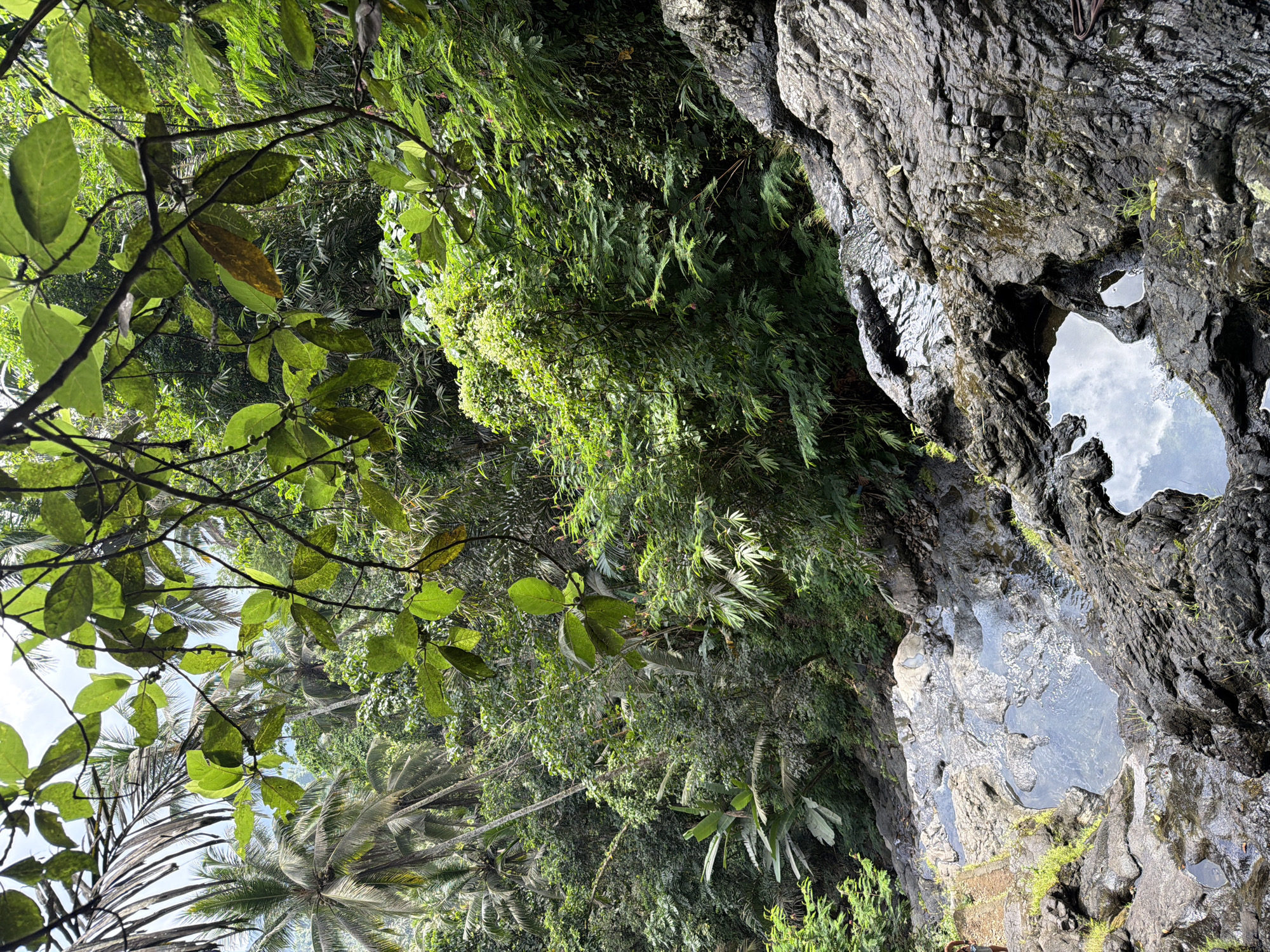 The image captures a natural scene near Sidemen, Indonesia, featuring a rocky outcrop with a pool of water reflecting the sky. The outcrop has dark grey, textured stone. A stream or flow of water runs over the surface of the rock. Dense green foliage surrounds the rocks, including various types of trees and plants, some of which have leaves visible in the foreground. Palm trees can be seen through the leaves. The lighting is dappled, suggesting sunlight filtering through the canopy of the foliage.