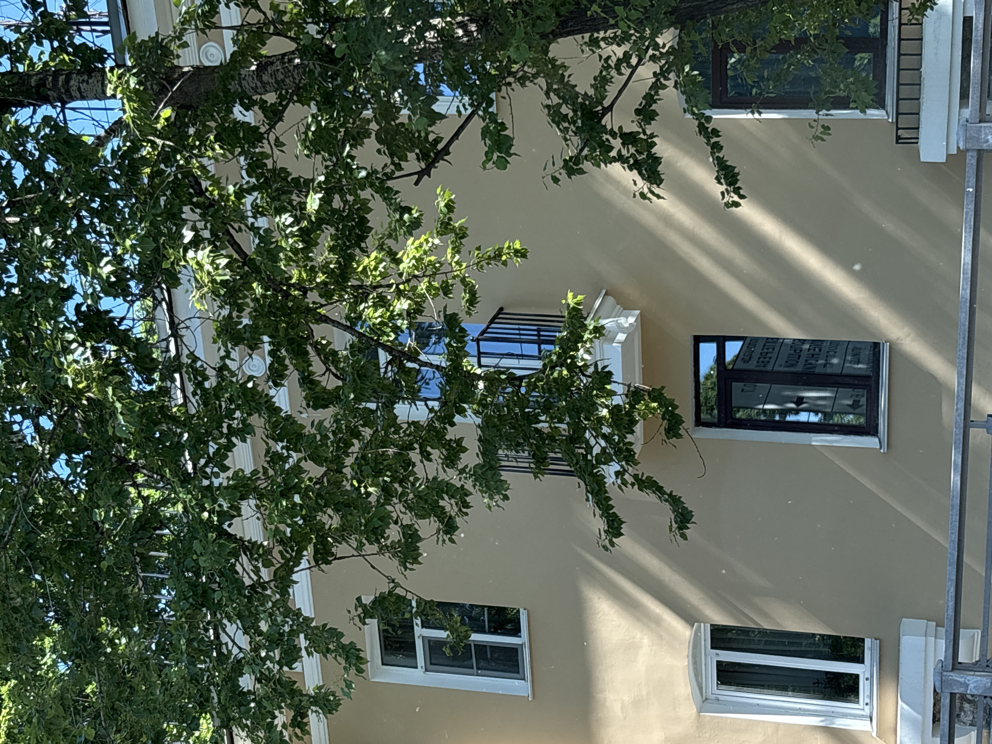 This is a medium-shot, eye-level exterior photograph of a building in Saint Petersburg, Russia. The building's facade is a neutral beige color and is adorned with decorative white trim, particularly around the windows and at the top of the building. The photograph is dominated by the foliage of a large tree that is in the foreground, its green leaves and branches obscuring much of the building. Sunlight filters through the leaves, casting dappled shadows on the building's wall.
The building features several windows. On the left side, there is a tall, rectangular window with a white frame, divided into two panes, with a decorative white ledge below it. To the right of this window, a small balcony with a black metal railing juts out from the building. This balcony is accessed by a window with a dark frame. Further to the right, another rectangular window with a dark frame is visible, reflecting the surroundings. Below this window, a small section of a white balcony with a black metal railing is visible. In the far right of the image, another window with a dark frame is present.
A metal railing runs horizontally across the bottom of the frame, suggesting a boundary or walkway in front of the building. The sky is visible in the upper portion of the image, a bright blue with a few hints of clouds. There are no people or animals visible in the photograph. The overall impression is a serene, sun-drenched urban scene, with the natural element of the tree playing a significant role in the composition.