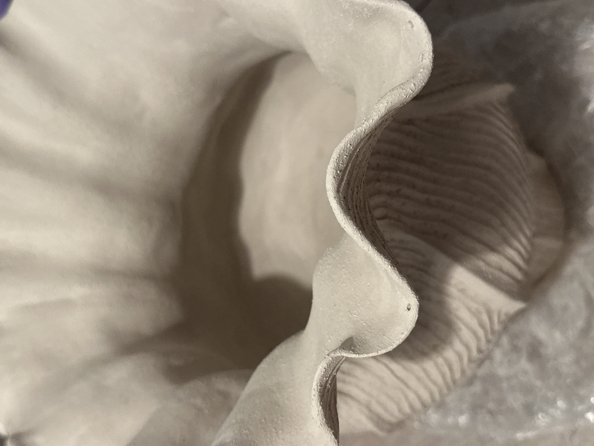 A close-up, high-angle shot captures a cream-colored, ruffled ceramic bowl. The bowl's interior is smooth and slightly curved, while the exterior features a textured, ribbed pattern. The ruffled edge of the bowl is uneven and shows small imperfections. The background is blurred, with hints of a light-colored, textured surface, possibly fabric or bubble wrap. The lighting creates soft shadows that highlight the bowl's form. There are no people or animals visible in the image. The scene is indoors, with no discernible elements that can place it in Nevinnomyssk, Russia, or any specific location.