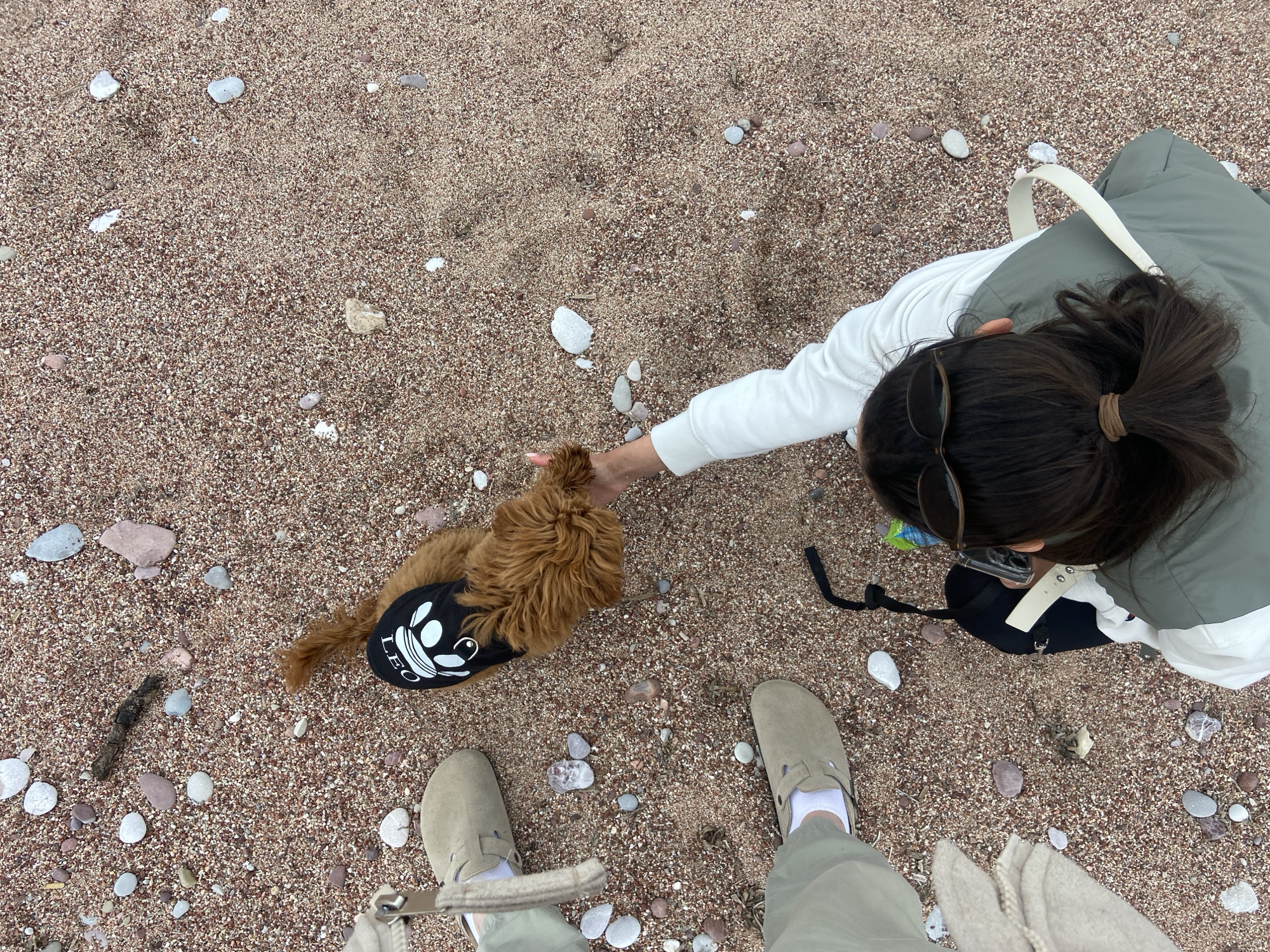 A woman in light-colored pants and taupe shoes is standing on a reddish-brown sandy beach with scattered small, smooth pebbles, extending a hand toward a small, fluffy, reddish-brown dog wearing a black vest labeled "LEO" with a white image on it. The woman is also wearing a white long-sleeved shirt under a sage green vest. Her dark hair is pulled back into a ponytail. A pair of sunglasses is perched on her head. A black bag and a white strap are visible near her. The scene likely occurs near Sveti Stefan, Montenegro, given the beach and surrounding elements.
