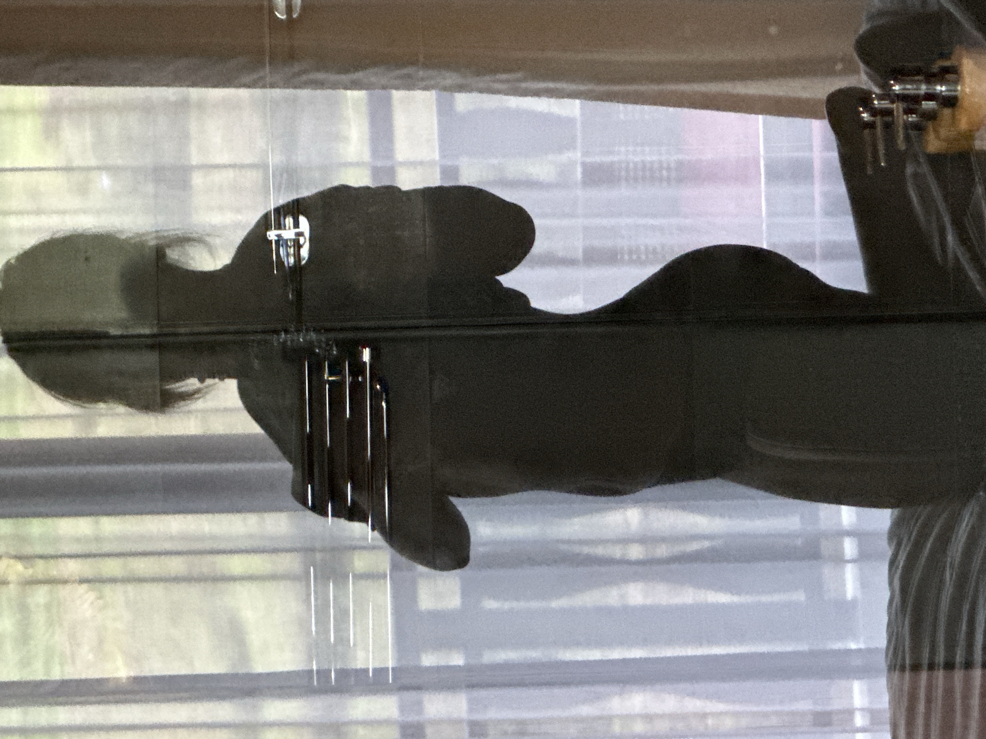 The image appears to be a reflection of a person, partially visible, in a window. The reflection captures the person's head and upper body silhouette. Part of what seems to be the window frame is visible. There's no strong evidence to suggest that the image was taken in the specific location of Ubud District, Indonesia.
