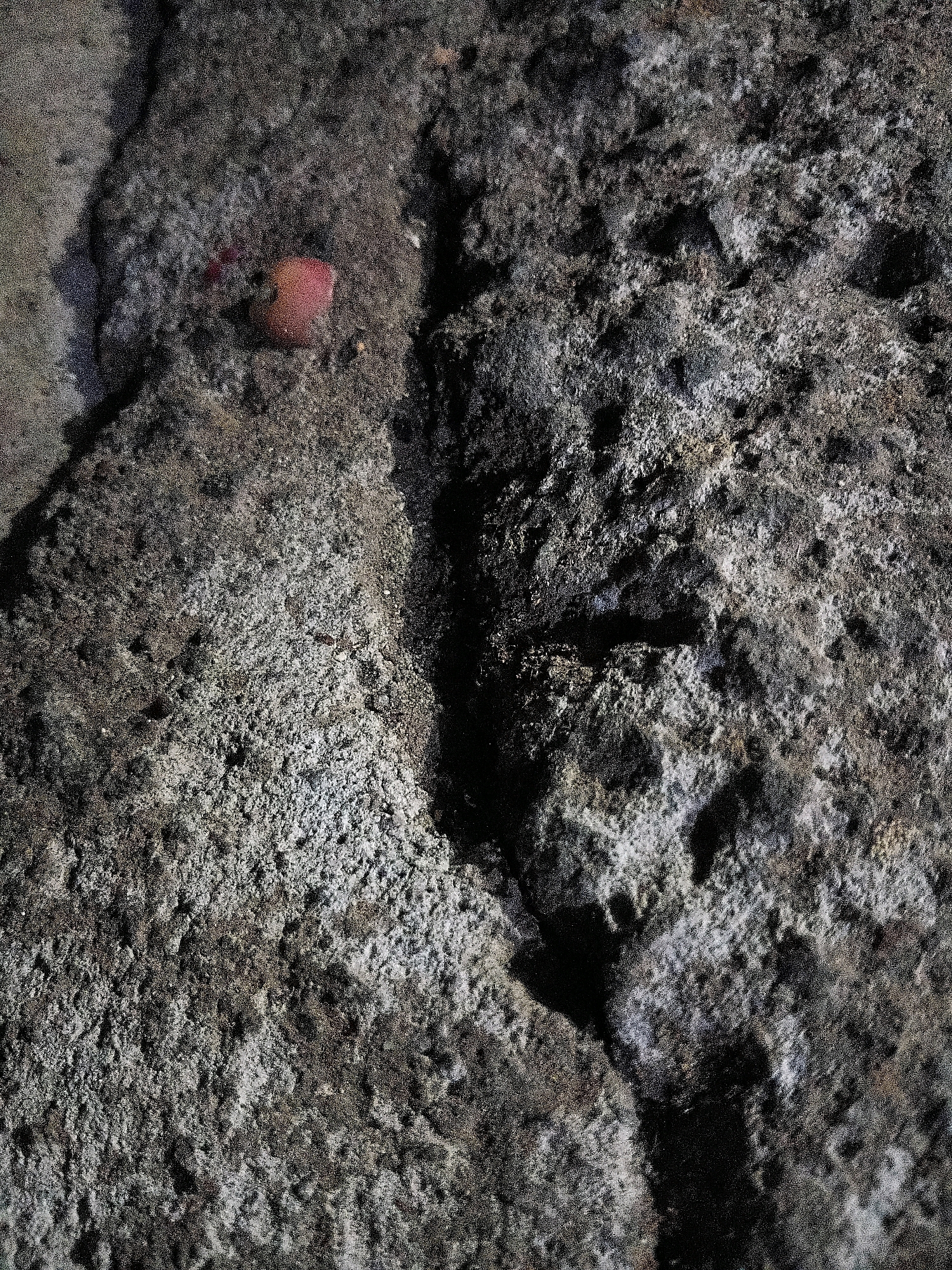 The image shows a close-up, top-down view of a rough, textured surface that appears to be natural rock or concrete. The color palette is predominantly dark grays and black, with some lighter gray and white speckles adding texture. There is a small, reddish-pink object, possibly a berry or a piece of organic matter, resting on the surface towards the upper left quadrant of the image. The lighting suggests it is outdoors, with strong shadows indicating a directional light source, likely the sun. The scene is devoid of any identifiable human presence or activity. The specific location within the city of Cikal, Indonesia, is not discernible from the visual information provided in the image.