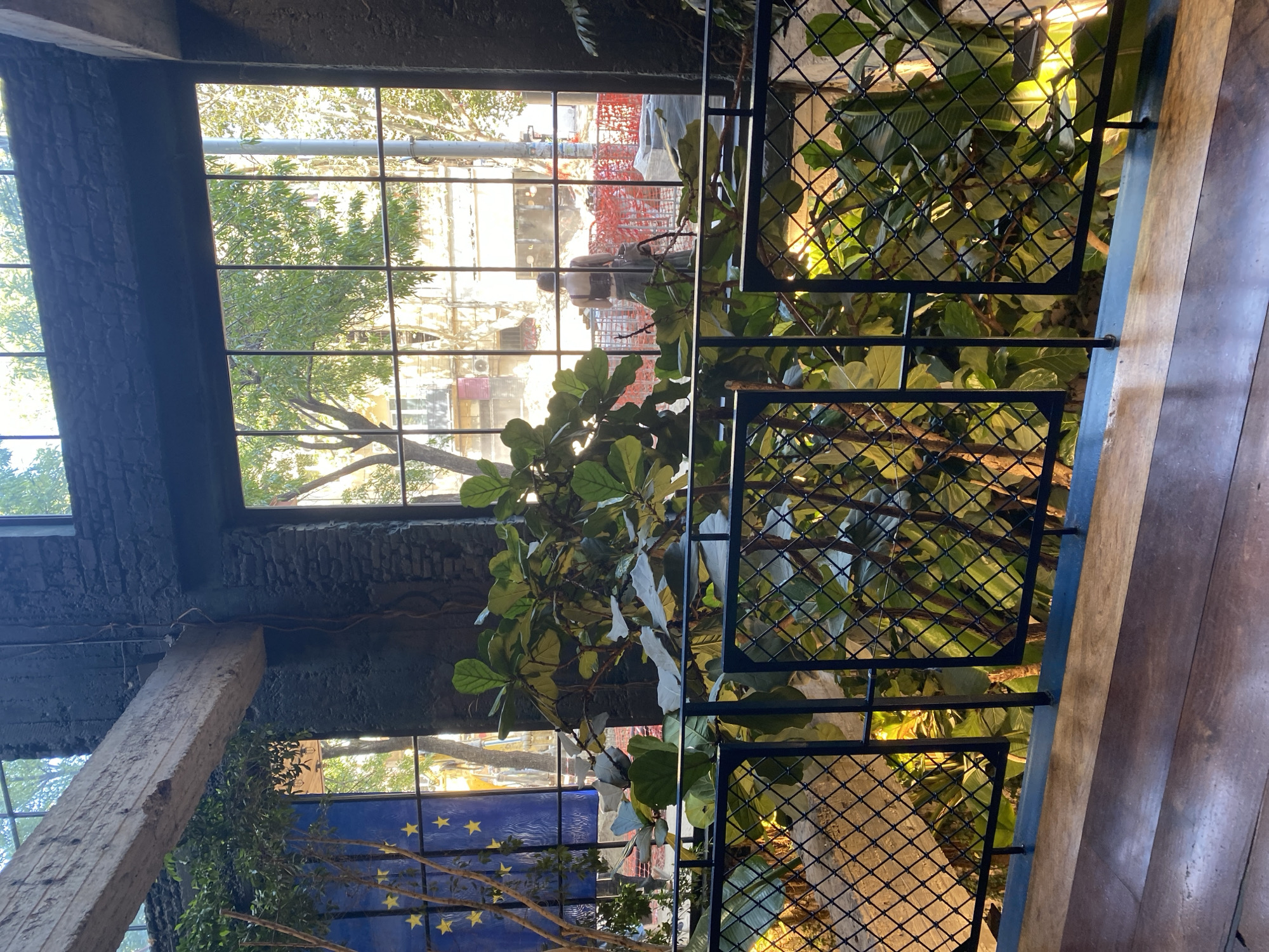 This image shows an interior view looking out through large windows. In the foreground, there is a wooden floor and a dark metal railing with a diamond mesh pattern. Behind the railing, lush green foliage is visible, lit by yellow light sources from below. Through the windows, an urban street scene is depicted. On the left, a blue flag with yellow stars, resembling the European Union flag, is displayed. To the right of the flag, trees with green leaves are visible. Further into the scene, construction is taking place, indicated by orange safety barriers and building materials. A person wearing a dark top and a skirt is visible through the window, facing away from the camera and looking towards the construction. The architecture visible includes dark brick walls, and a prominent concrete beam supporting the ceiling. The location is identified as Tbilisi, Georgia, suggesting an establishment with large windows overlooking a street.