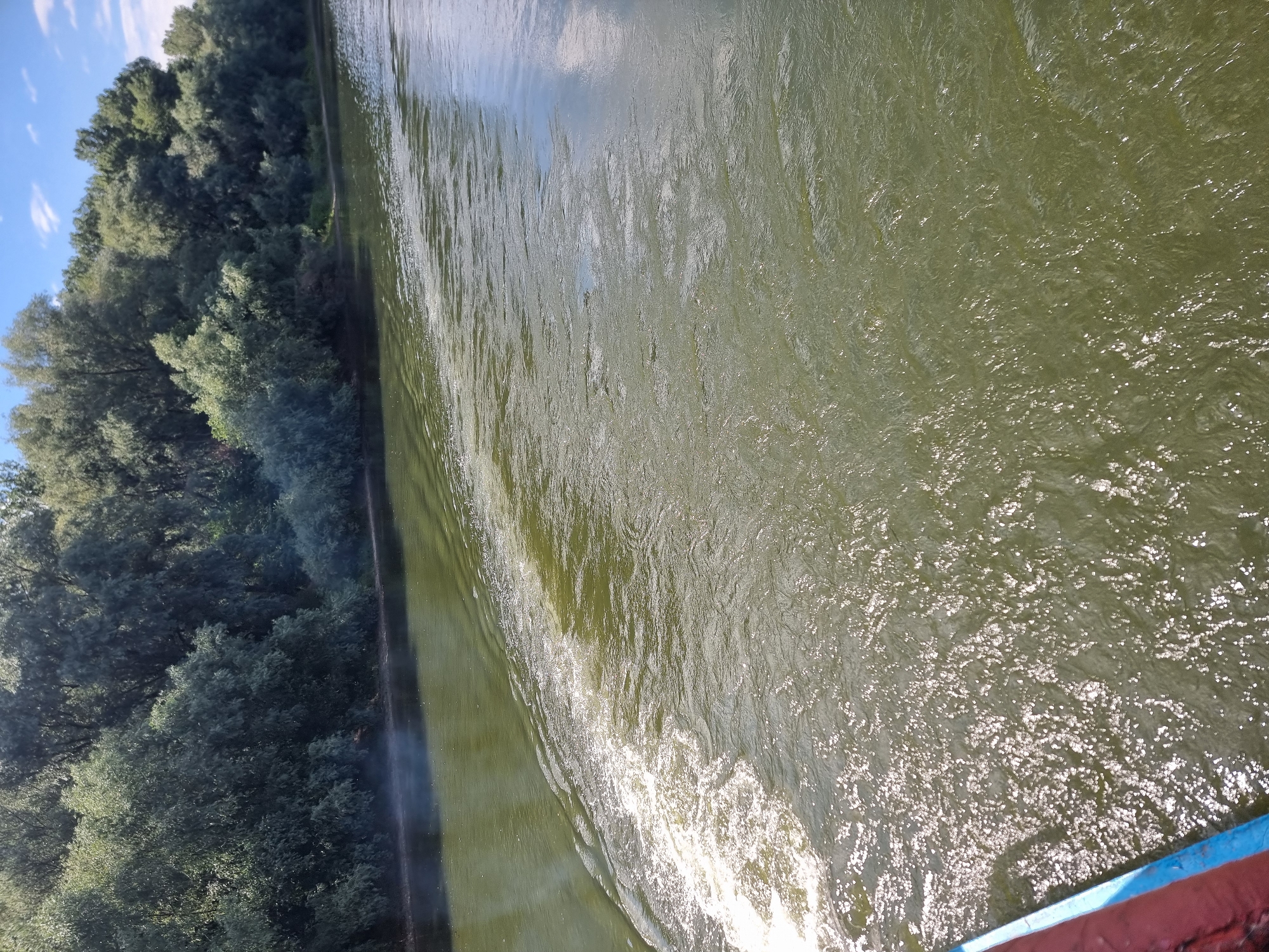 The image depicts a wide, slow-moving river with green, somewhat murky water. On the left side, a wake is visible, indicating that a boat or vessel has recently passed or is currently moving. The wake creates a swirling, frothy pattern on the surface of the water. The riverbank is lined with dense, lush green trees that extend into the background. The sky above is blue with scattered white clouds. The foreground shows a portion of a boat or railing, painted red with a blue trim. There are no people visible in the image. The scene appears to be a natural landscape, likely a river in a rural or semi-rural area, consistent with the geographical description of Ternovka, Moldova, which is known for its river and surrounding vegetation.