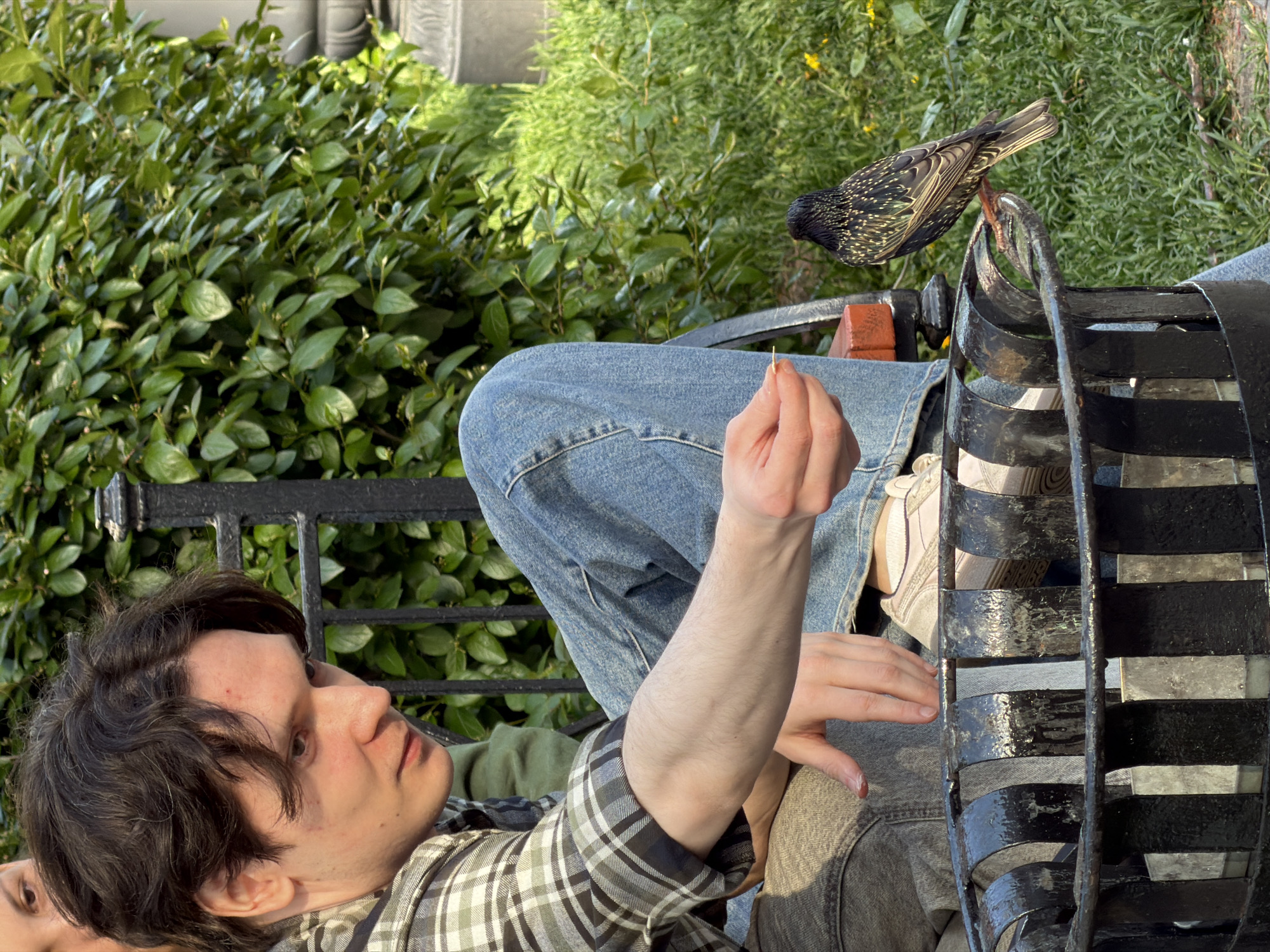 A young man lies on a park bench in Saint Petersburg, Russia. He is wearing a plaid shirt, jeans, and sneakers. A starling is perched on the metal back of the bench near the right edge of the frame. The man is holding a small, thin object in his outstretched hand. Green foliage is visible behind the bench and the man.