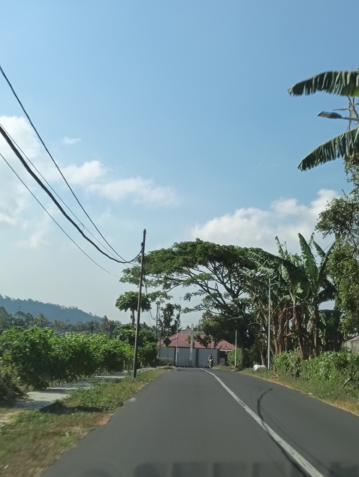 The image depicts a paved road curving through a rural landscape under a clear blue sky with scattered clouds. Overhead, power lines traverse the frame, supported by poles. To the left, lush green foliage and what appear to be cultivated plants line the roadside. Further in the distance, a range of hills is visible. On the right side of the road, tall trees, including banana plants, dominate the vegetation. A few buildings with red roofs are situated amongst the trees, and a lone motorcycle is seen on the road in the mid-ground. The overall impression is one of a serene, sunlit day in a tropical or subtropical environment.