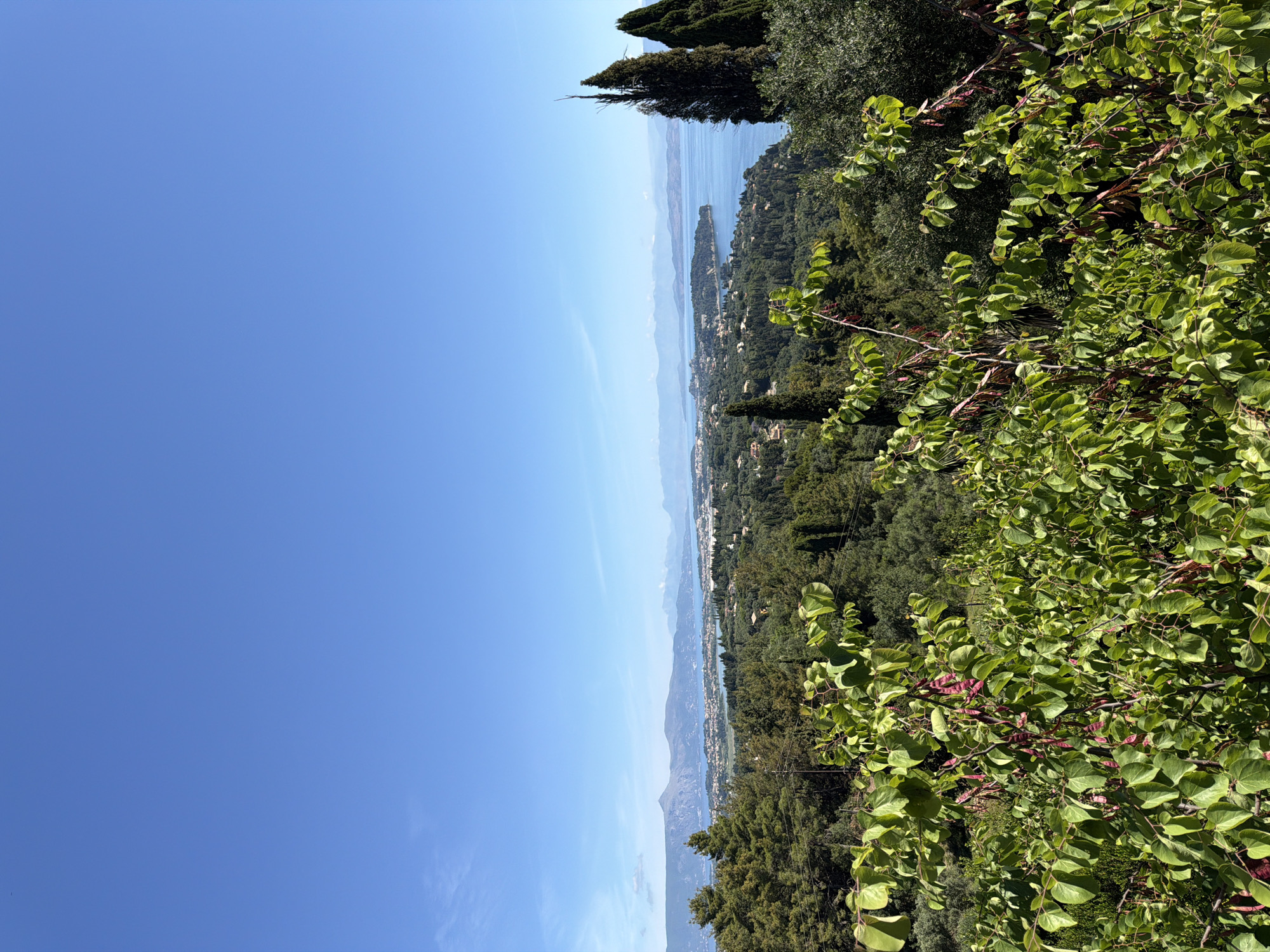 The image displays a panoramic, sun-drenched landscape from an elevated viewpoint, oriented in portrait mode (rotated 90 degrees clockwise). The scene is dominated by a clear, bright blue sky that occupies the upper half of the frame. Below the sky, a vast expanse of calm, blue-grey water stretches across the horizon, bordered by distant landmasses and undulating mountains that fade into a hazy blue.
In the mid-ground, a verdant coastline is visible, dotted with numerous white and light-colored buildings, suggesting residential areas or small towns nestled among the dense green vegetation. A small, forested island or peninsula can be seen jutting out into the water in the middle distance.
The immediate foreground is filled with lush green foliage, primarily from a tree with distinctive heart-shaped leaves and reddish-purple, bean-like seed pods, possibly a Judas tree (Cercis siliquastrum). Other dark green trees, including what appear to be tall cypress trees and olive trees, are also visible, framing the view on the right side. The overall impression is one of natural beauty and tranquility under a clear, sunny sky, typical of a beautiful day in Gastouri, Greece, looking out over the Ionian Sea or a large bay. No people or visible text are present in the image.
