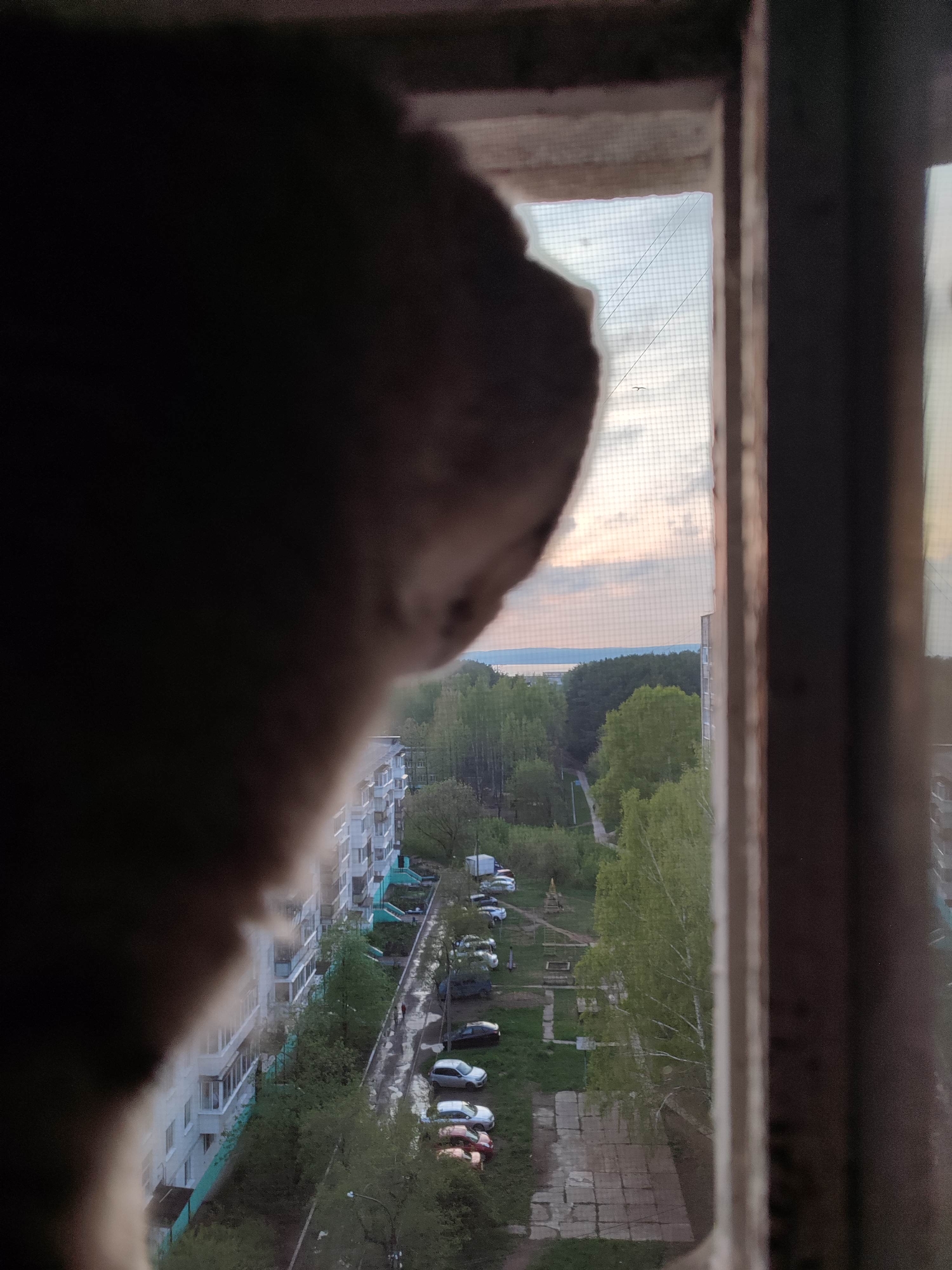 A high-angle view through a window, partially obscured by a blurry, light-colored object in the left foreground. Beyond the window, an urban scene unfolds, showing multi-story apartment buildings with balconies and green trim. A road runs parallel to the buildings, with parked cars lining the street. The road and sidewalks appear wet, possibly from recent rain. Beyond the apartment complex, a park area is visible with lush green trees and grass. In the distance, a body of water and a horizon with a hint of sunset can be seen.