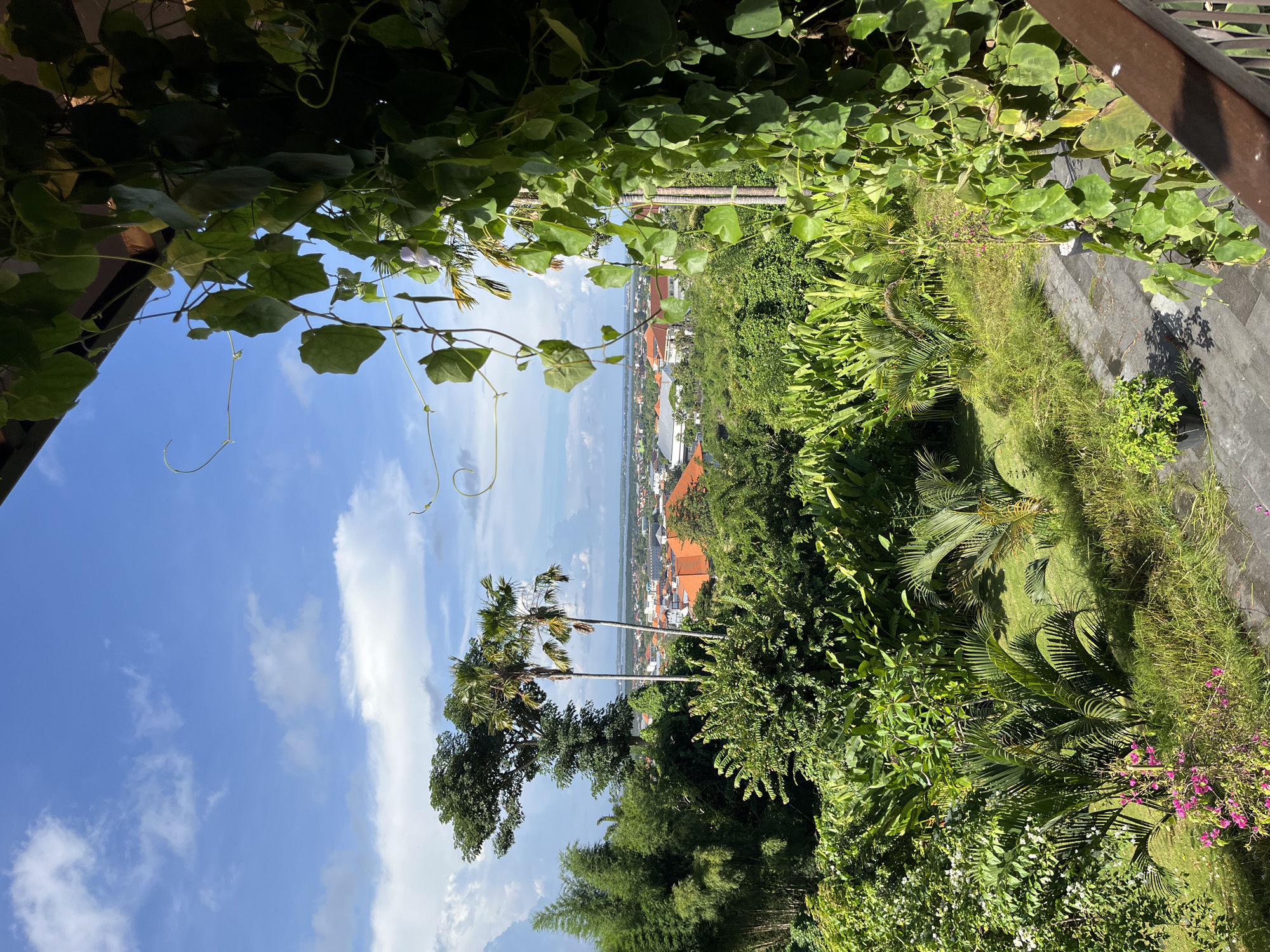 From an elevated perspective in Kuta Selatan, Indonesia, the image captures a vibrant tropical scene. The foreground is dominated by lush greenery, including various plants, shrubs, and trees, with hints of flowering vegetation. Two prominent palm trees stand out against a backdrop of buildings with red rooftops. Beyond the buildings, a body of water stretches towards the horizon, meeting a clear blue sky dotted with clouds. Framing the top of the image are leafy vines, creating a natural canopy-like effect. A railing is visible on the right side, indicating a balcony or elevated walkway.