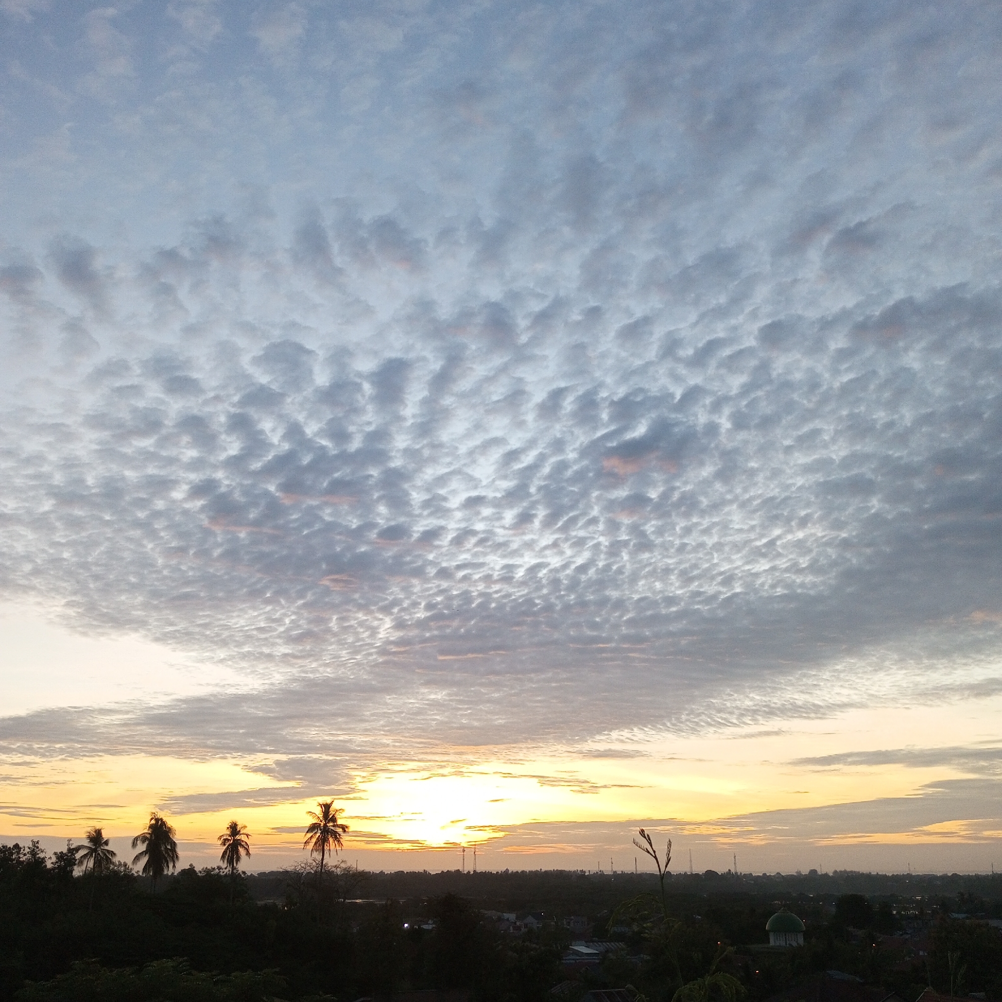 The image captures a dawn or dusk landscape in Lhokseumawe, Indonesia. A dense layer of altocumulus clouds dominates the sky, tinged with subtle pink hues from the sun. A bright horizon indicates the sun's position, partially obscured by a thin band of clouds. Silhouetted palm trees are present on the left side, amidst a lower layer of darker vegetation. The cityscape appears in the distance, marked by several structures, including a mosque with a dome. The scene appears tranquil and is likely uninhabited.