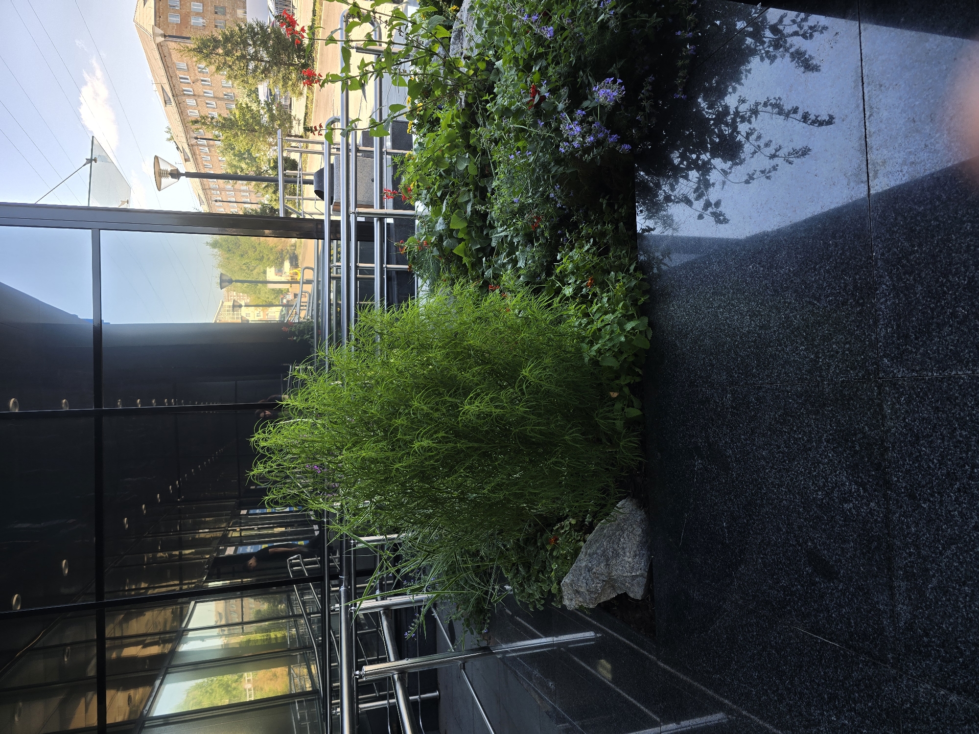 The image captures a modern building with a black glass facade in the city of Krasnoyarsk, Russia. In front of the building, there is a landscaped area featuring lush green plants, including a tall, feathery green bush, and smaller plants with red and purple flowers. A large grey rock is placed within the garden. The ground in front of the garden is paved with polished black granite, reflecting the building and the sky. A stainless steel railing system, likely for a ramp or stairs, is visible to the left of the garden. In the background, through the reflection in the glass and the visible portions of the exterior, a street with buildings and trees can be seen. The sky is bright and appears to be daytime.