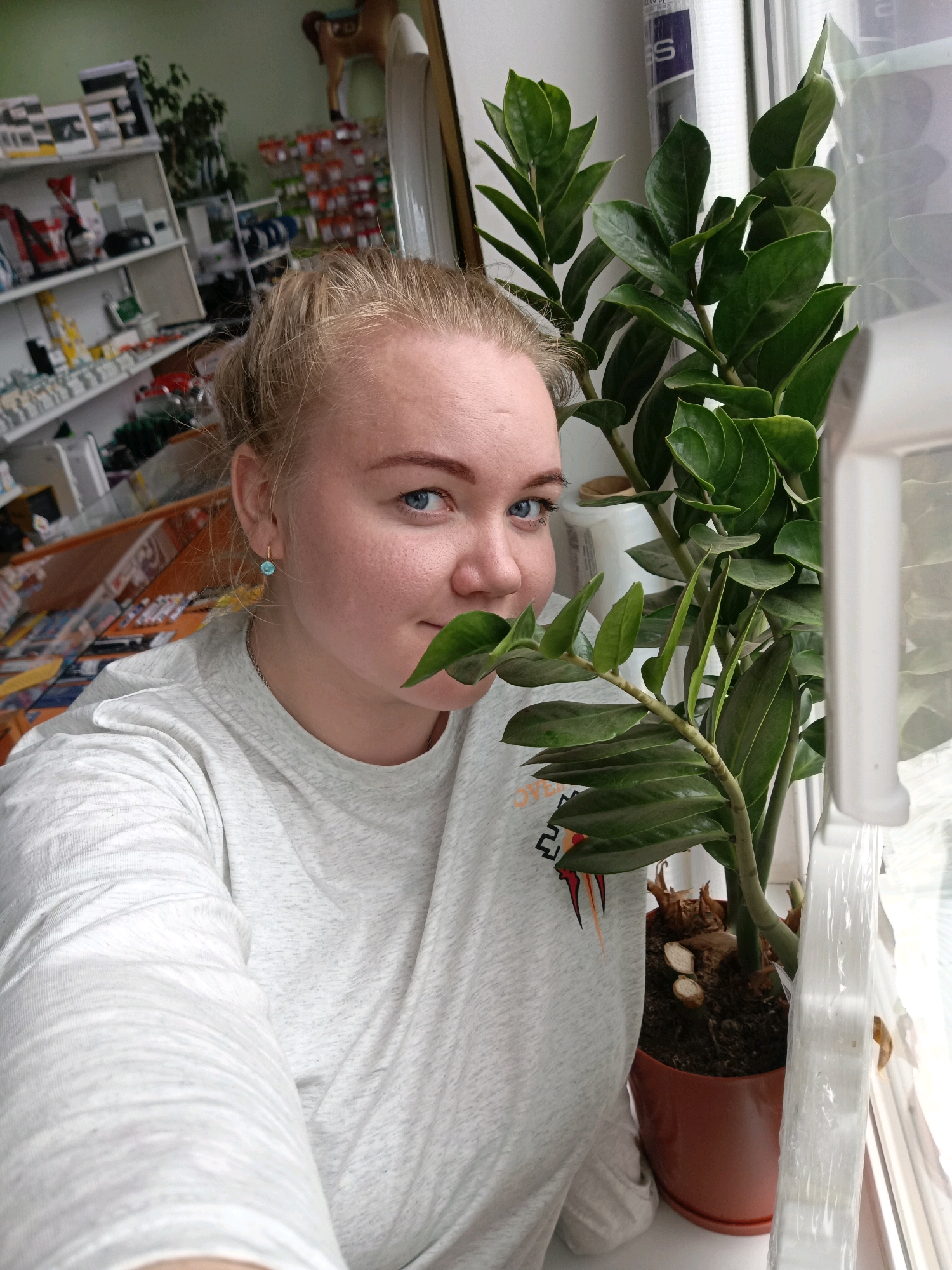 A medium-shot, indoor, selfie-style photograph shows a young, fair-skinned woman with blonde hair pulled back, posing with a houseplant. She is wearing a light gray long-sleeved t-shirt with a graphic print on the left side. Her right eye, with blue iris, is visible as she looks at the camera, and she holds a green leaf of a ZZ plant in front of her mouth. The ZZ plant is in a brown plastic pot and is positioned to the right of the woman. Behind her, on the left, is a shelf stocked with various items, possibly in a shop. The background also shows a window with a white blind and reflections. The scene appears to be a residential or retail space.