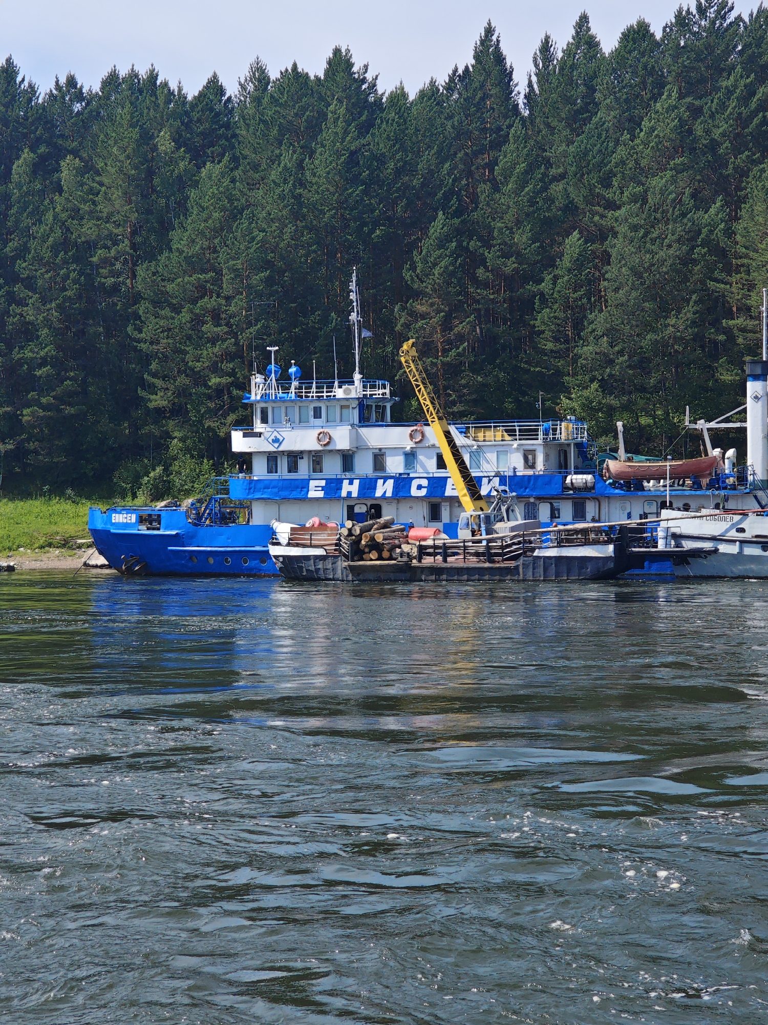 The image depicts a scene in Porog, Russia, featuring a blue and white riverboat docked on a wide, calm river. The boat is a prominent subject, with its blue hull and white upper decks visible. A yellow crane is mounted on the deck, and a raft of logs is attached to the side of the boat. The background consists of a dense, dark green forest bordering the riverbank, with tall evergreen trees dominating the landscape under a clear, pale blue sky. The foreground shows the rippling surface of the river, reflecting the surrounding environment. There are no people visible in the image.