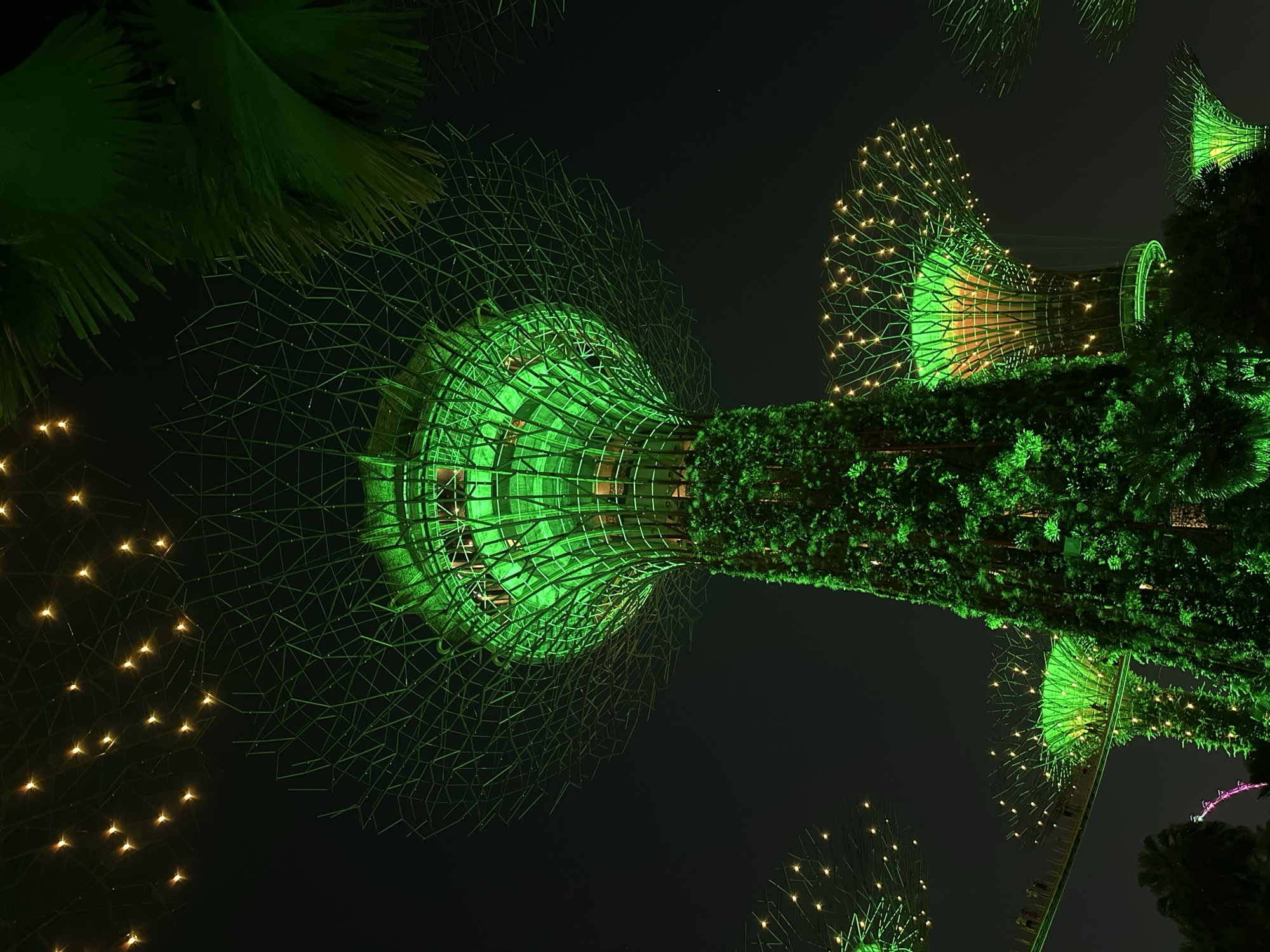 The image depicts the Supertree Grove at Gardens by the Bay in Singapore at night. The main subject is the iconic vertical gardens, illuminated with vibrant green lights. The Supertrees are artificial structures resembling trees, with the largest one dominating the foreground. It is covered in lush vegetation and topped with a lattice-like canopy that glows with green light. Smaller Supertrees are visible in the background, also illuminated and adorned with twinkling yellow lights that resemble stars. A walkway, or skywalk, can be seen connecting two of the Supertrees, with silhouettes of people walking on it. Palm fronds are visible in the upper right corner, providing a contrast to the artificial structures. The overall atmosphere is magical and futuristic, with the dark night sky serving as a backdrop to the illuminated botanical display.